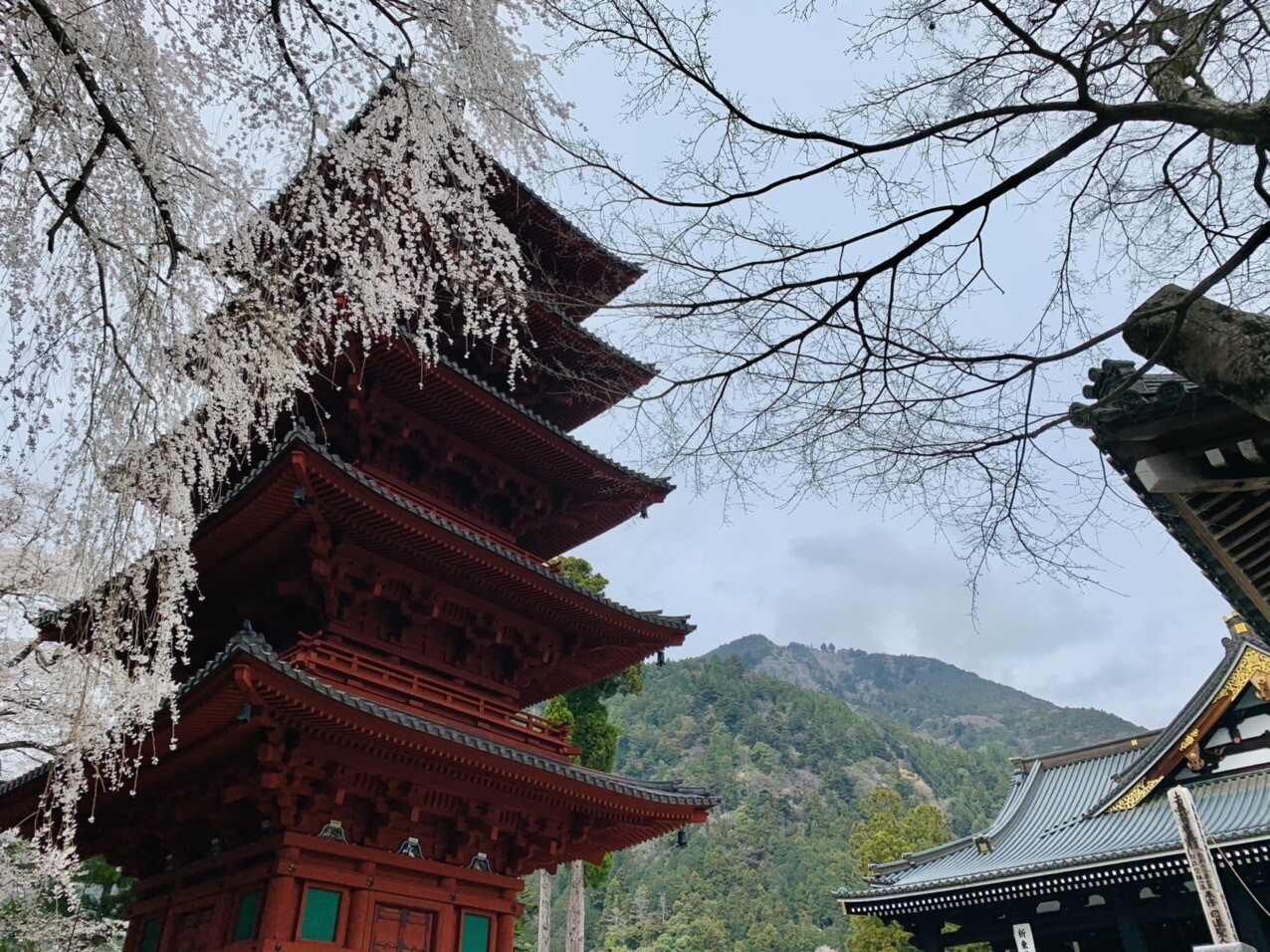 身延山 久遠寺 Okukoさんの七面山 身延山の活動日記 Yamap ヤマップ