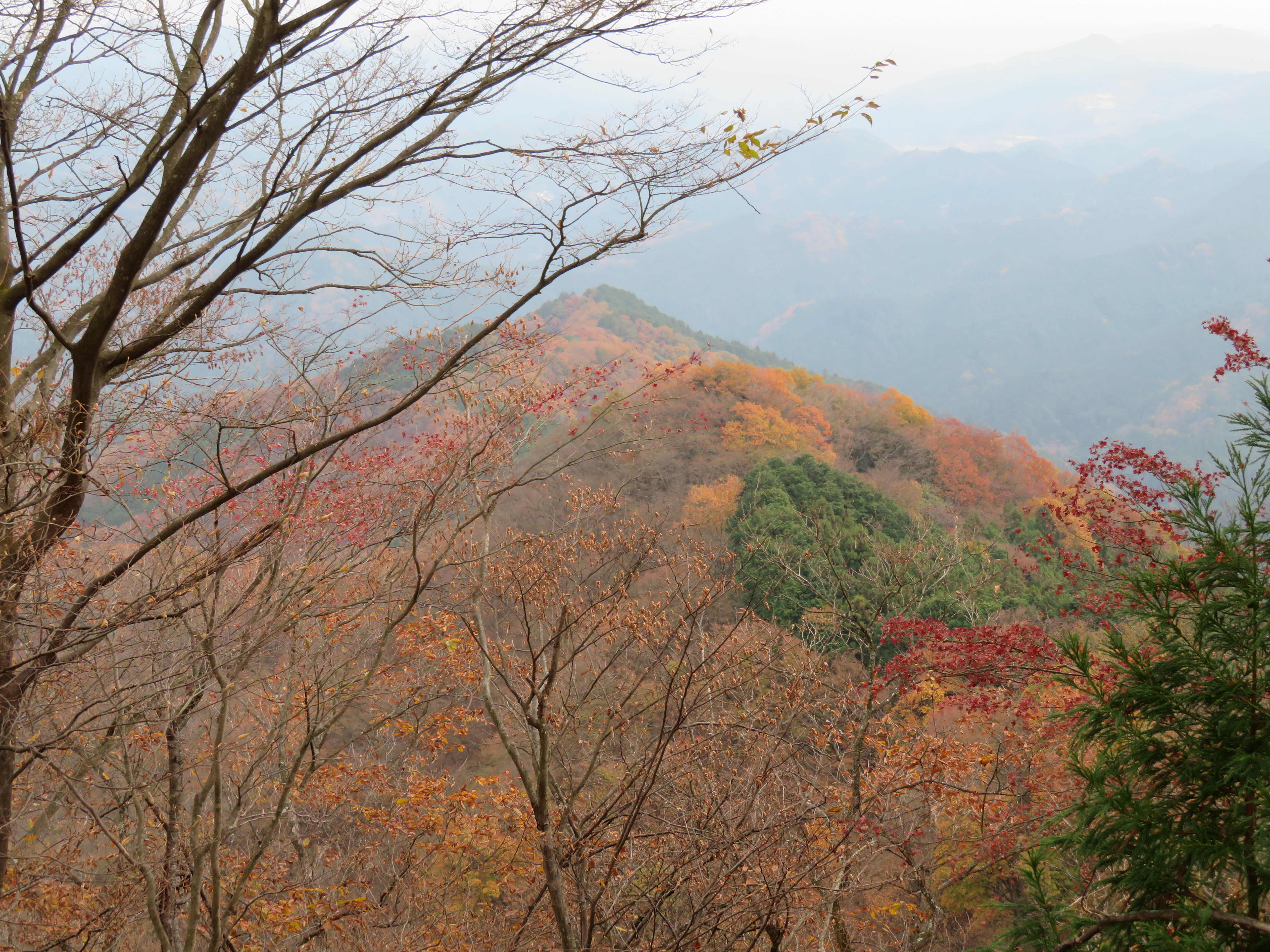 正丸駅 長岩峠 伊豆ヶ岳 周回コースの地図 登山ルート 登山口情報 Yamap ヤマップ