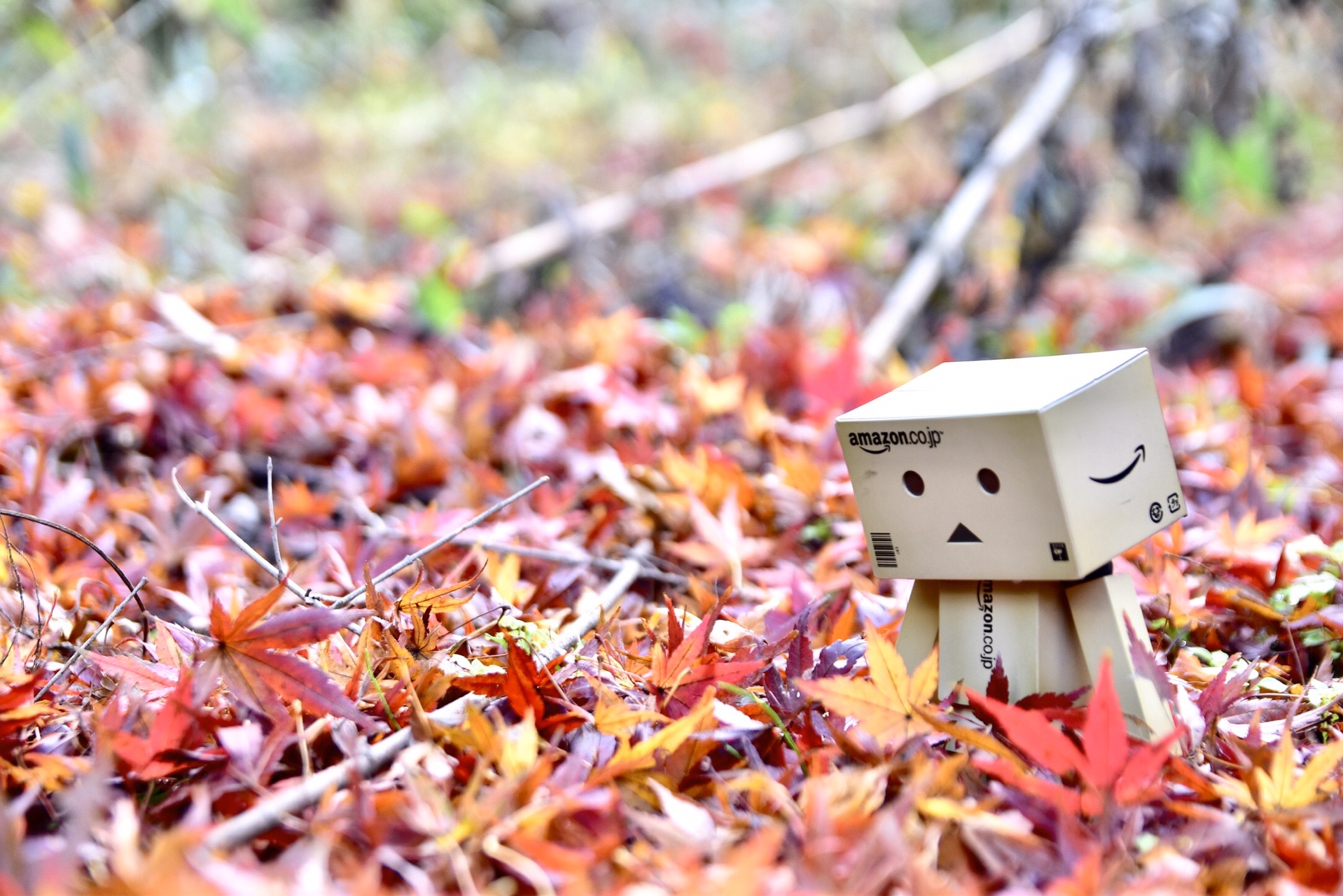 奈良 生駒山 信貴山 Taketonikさんの生駒山 神津嶽 大原山の活動日記 Yamap ヤマップ