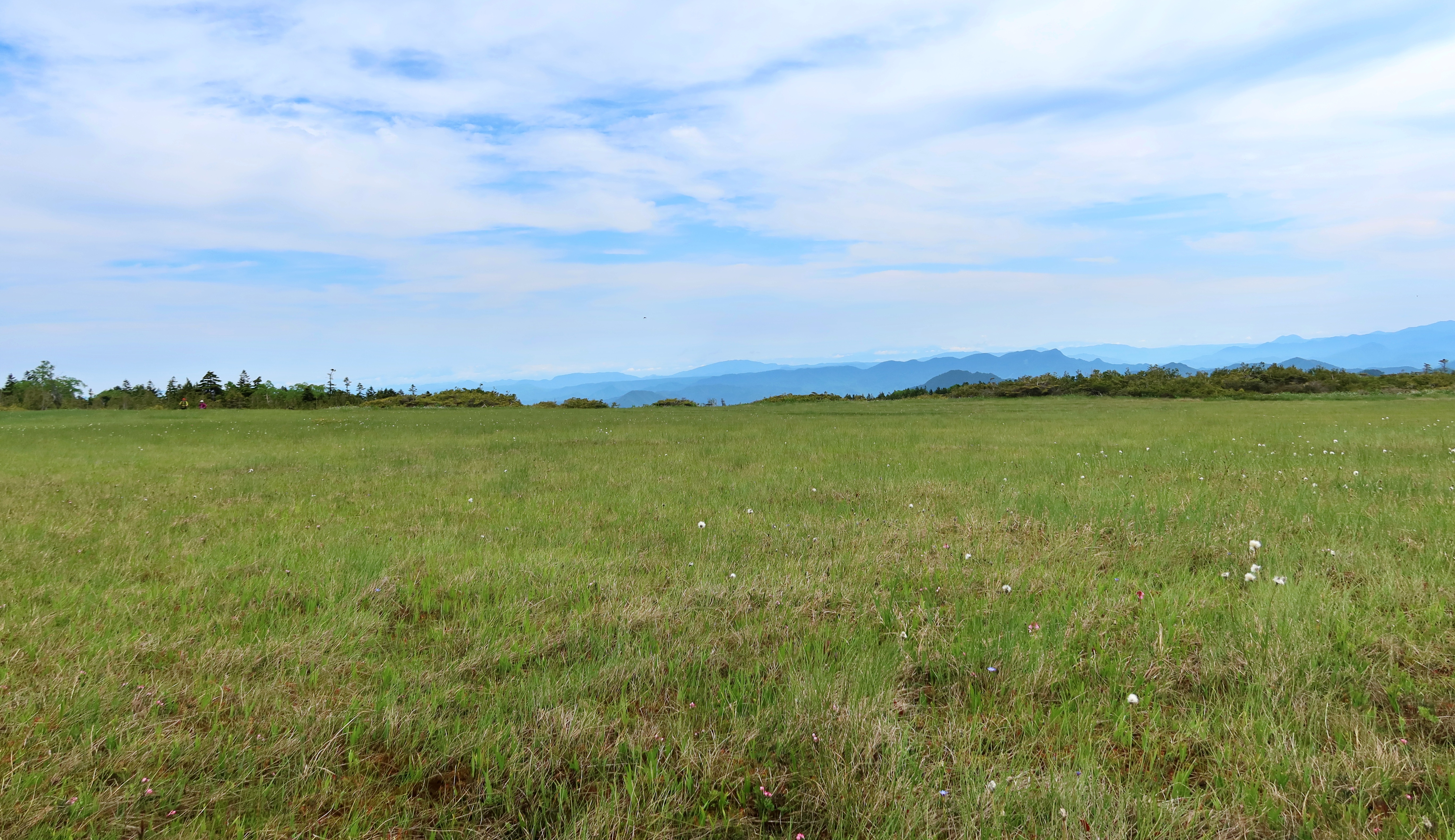 帝釈山 田代山湿原に 春 がきた Kazuさんの田代山 帝釈山の活動日記 Yamap ヤマップ