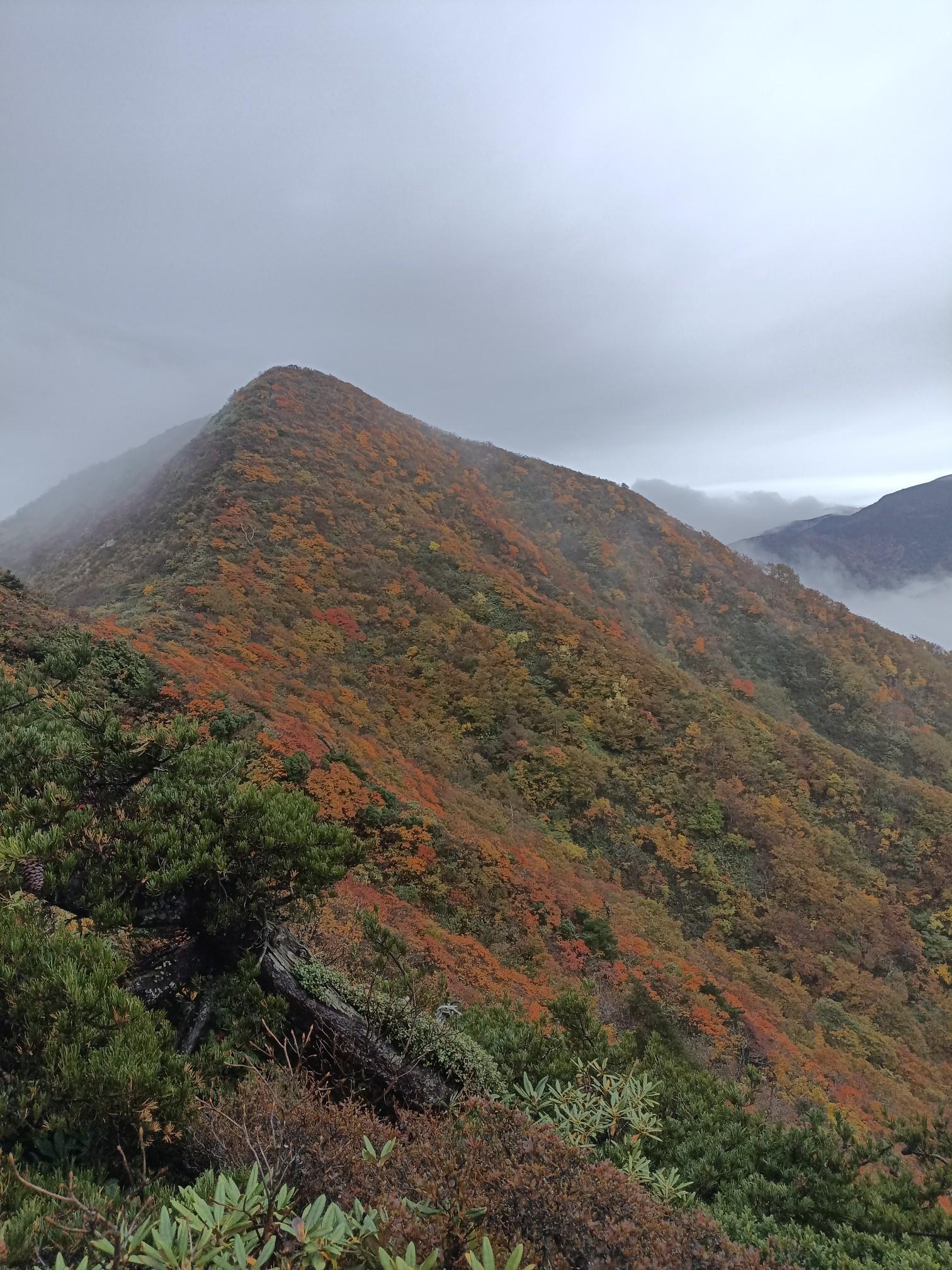 名号峰（宮城,山形） | YAMAP / ヤマップ