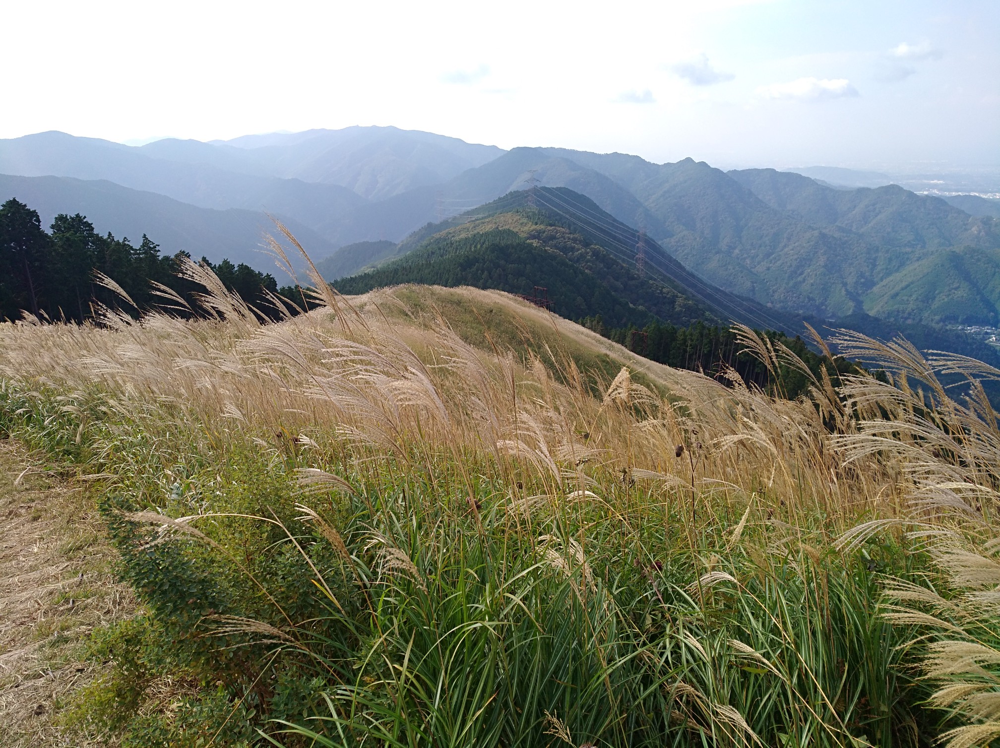 家族でススキの名所岩湧山に行ってきました 19 10 27 このパパさんの岩湧山 一徳防山 三石山の活動データ Yamap ヤマップ