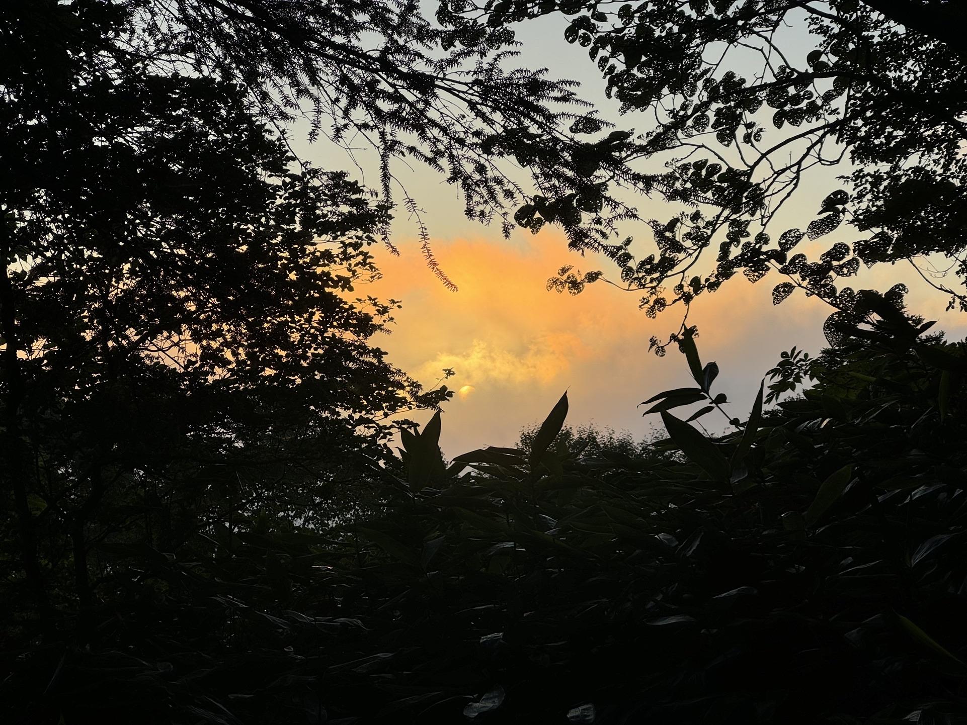 太陽も上がってきました。