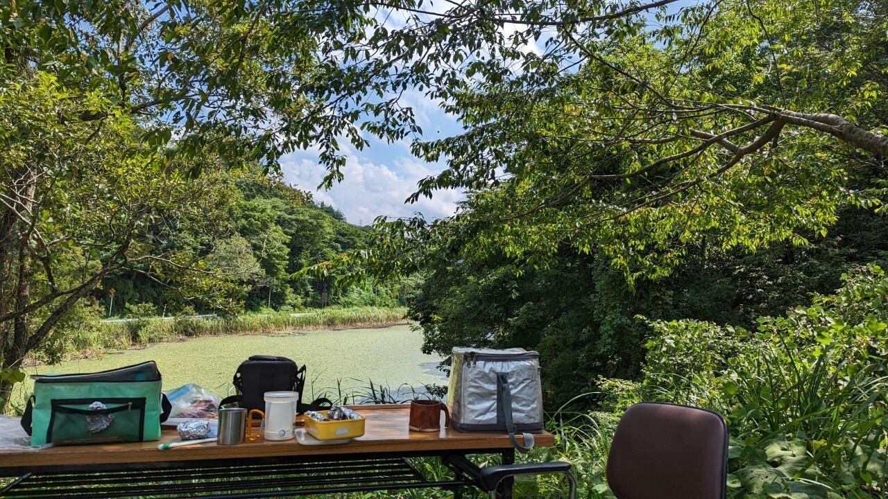 久しぶりの医王山 噂のビタル裏山を案内し... / はすさんのモーメント YAMAP / ヤマップ