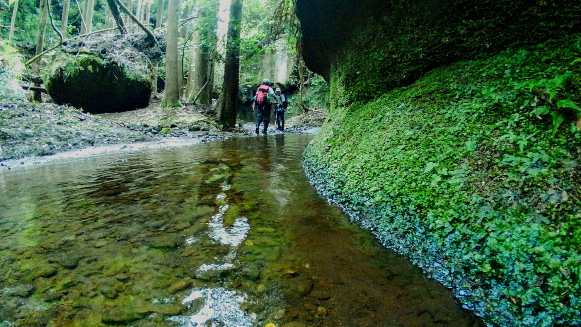 瀬に揉まれ 淵に淀みし 花筏 やまっぺさんの高宕山 寂光山 大塚山の活動日記 Yamap ヤマップ