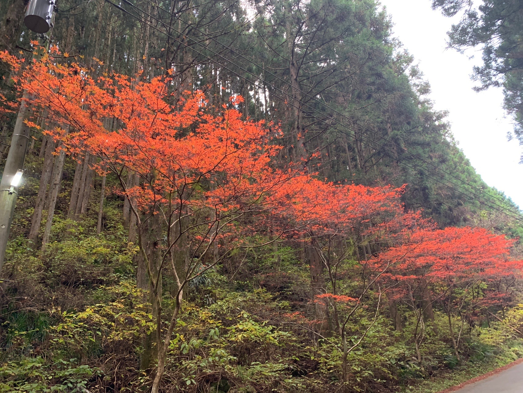 七ツ滝 栄蔵室 花園山 猿ヶ城渓谷 花園渓谷 とうさんぽさんの栄蔵室 花園山の活動日記 Yamap ヤマップ
