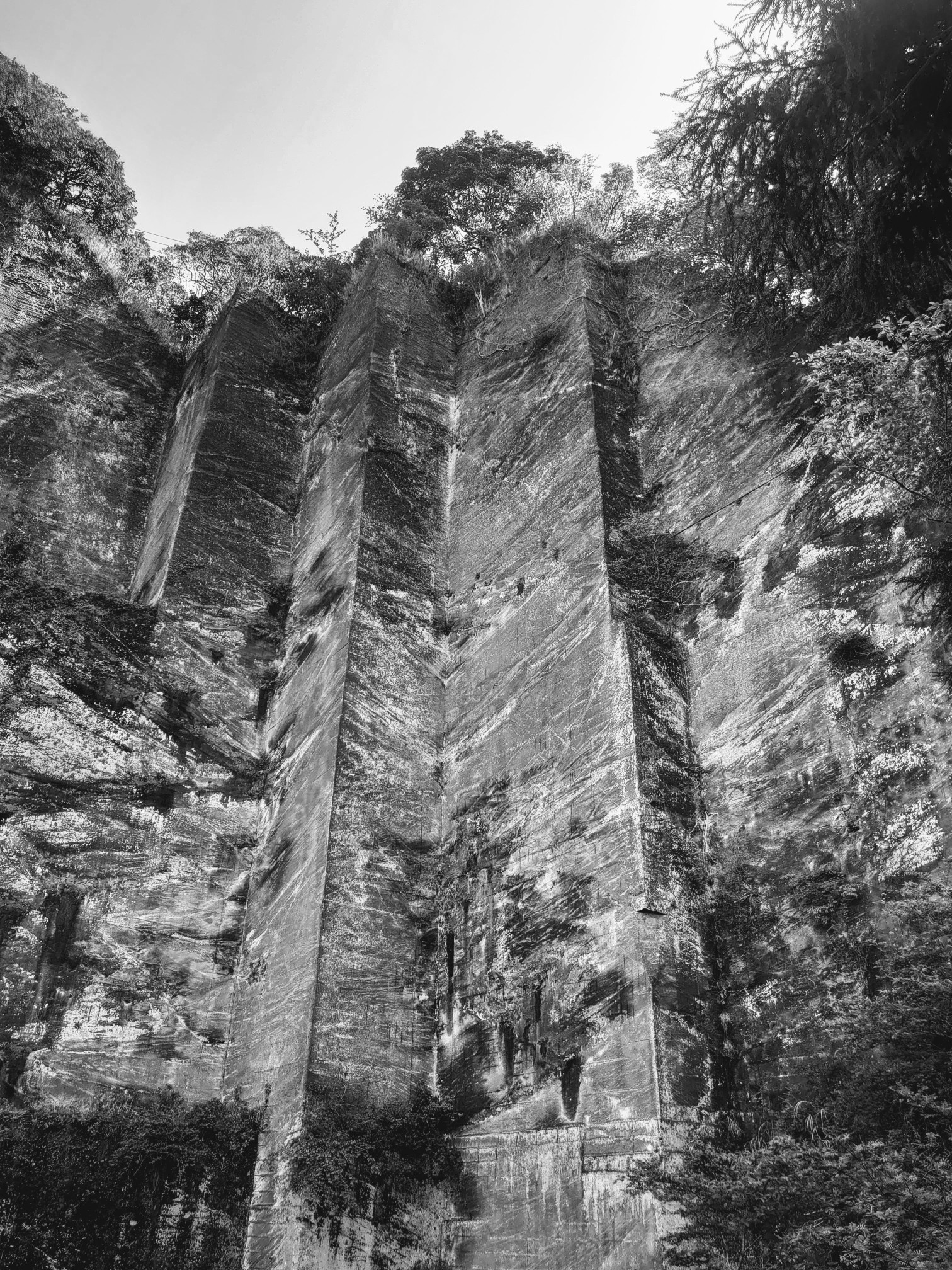 鋸山 石切り運搬の車力道を歩きましょ イトタロさんの鋸山の活動データ Yamap ヤマップ
