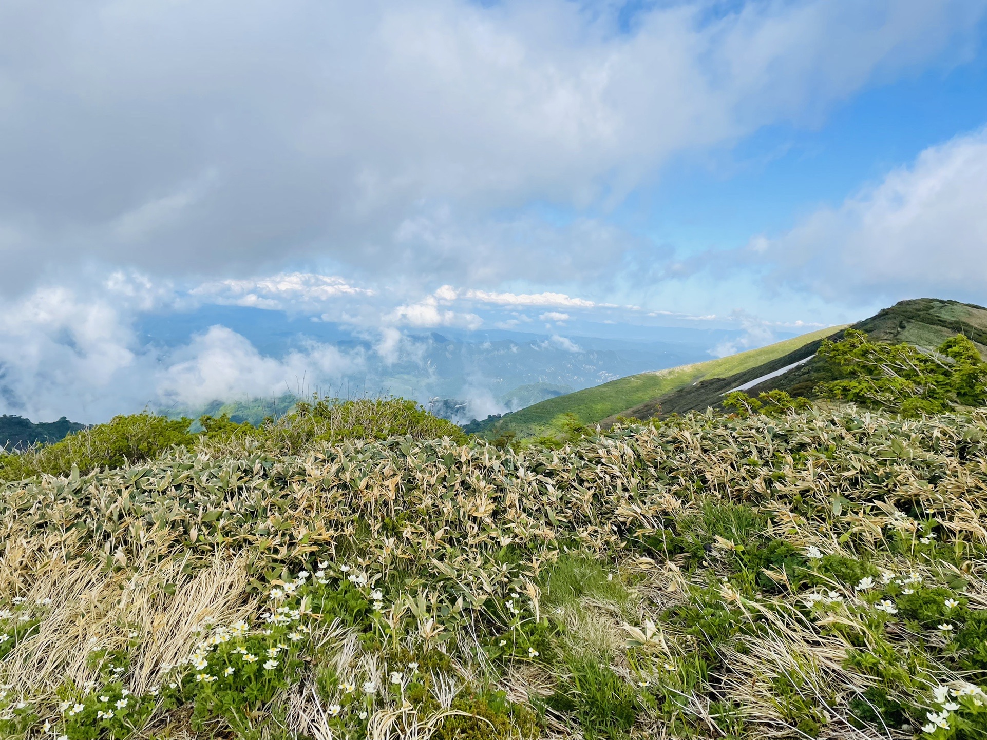 風が強くて寒く、