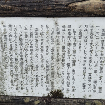 師匠が見つけてくれました