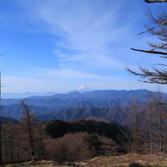 小雲取山。
富士を眺め