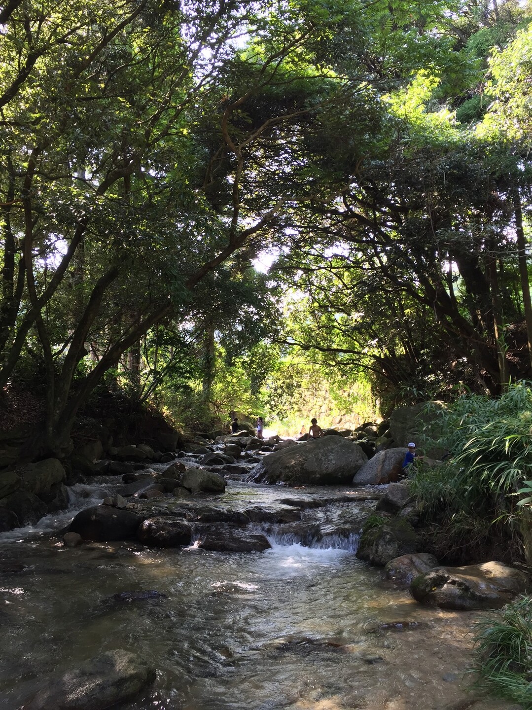 涼感 鳥栖の四阿屋 あずまや はらぺこあおむしさんの九千部山 石谷山の活動データ Yamap ヤマップ