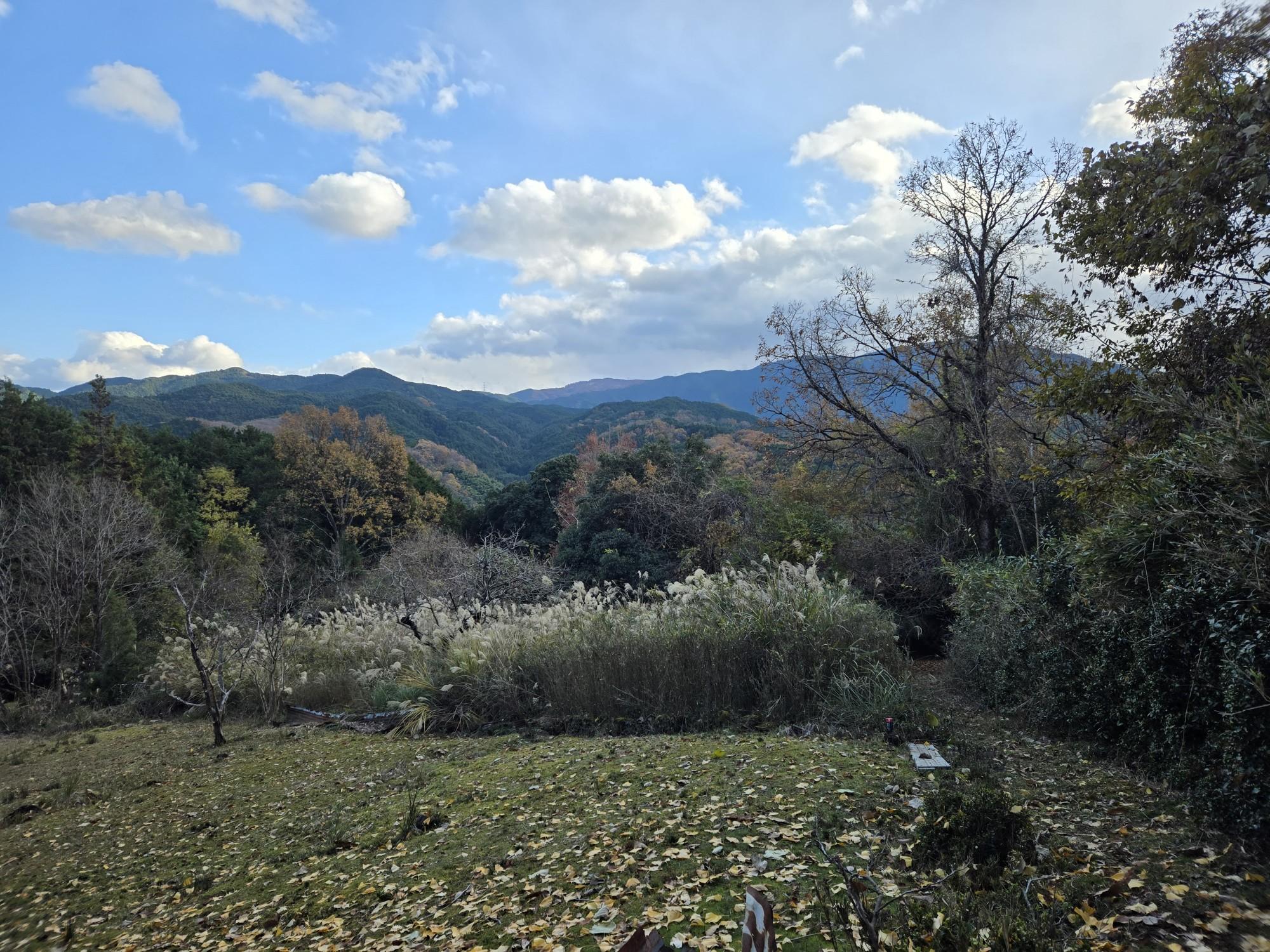 三輪山・巻向山・龍王山 開けた所に出た❗。
