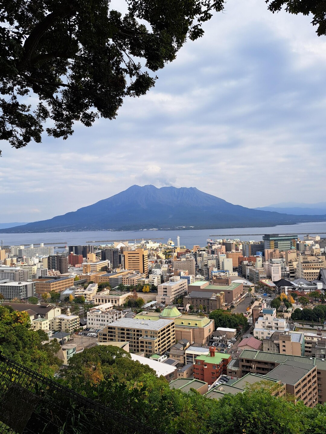 鹿児島県 城山 / tanechanさんの鹿児島市の活動データ YAMAP / ヤマップ
