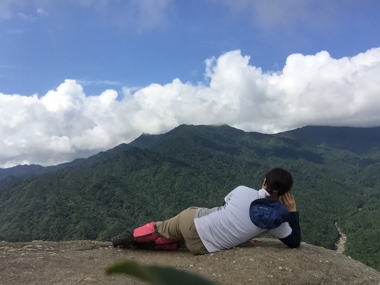 白谷雲水峡 苔むすの森 太鼓岩 まりさんの屋久島 宮之浦岳の活動日記 Yamap ヤマップ