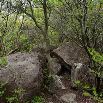 登山道に巨岩がチラホラ