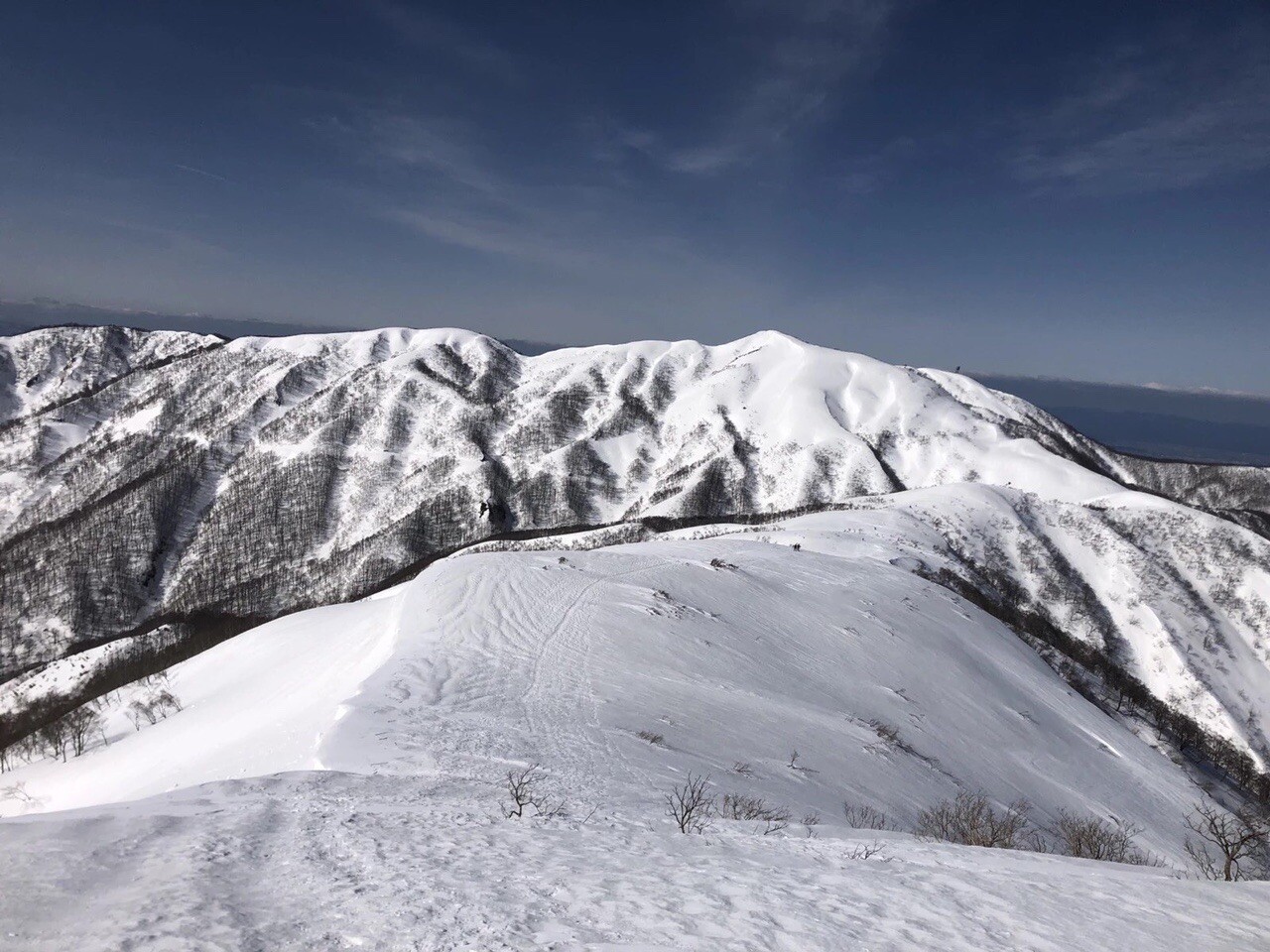 銀杏峯 / まさまささんの銀杏峰・部子山の活動データ YAMAP / ヤマップ