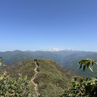 荒島岳 来た道と白山