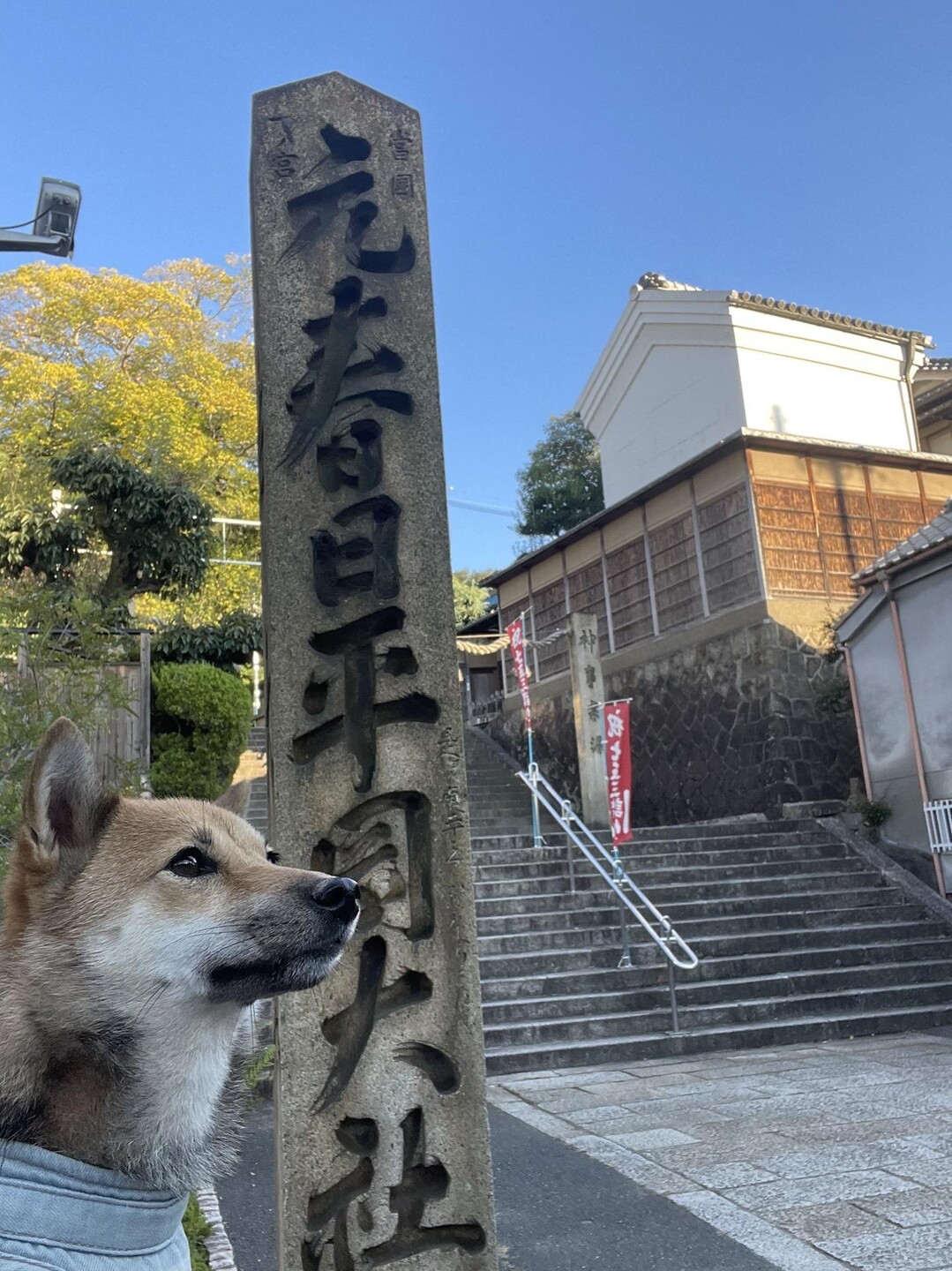 生駒山