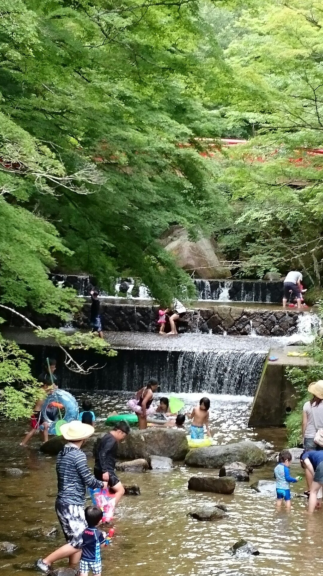 岩屋堂公園 川遊びができるスポット ウサギさんの猿投山 物見山の活動データ Yamap ヤマップ