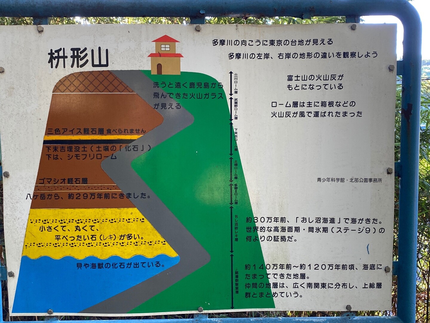 生田緑地 枡形山 早朝散歩 ふーさんさんの東京都23区 西エリアの活動日記 Yamap ヤマップ