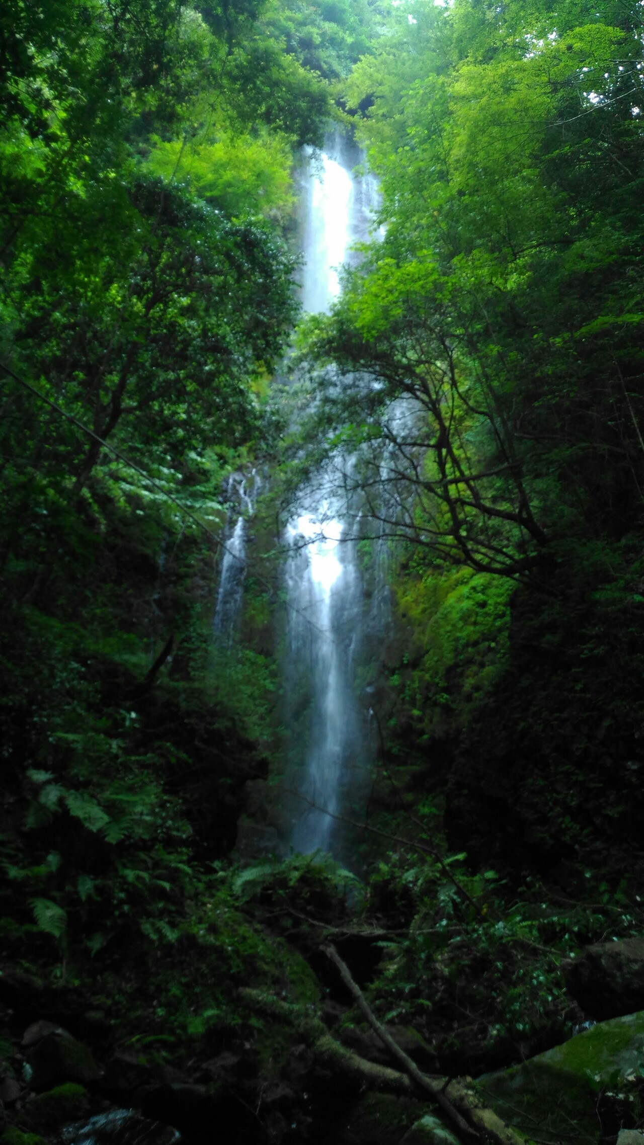 別府駅 乙原の滝 志高キャンプ 失敗 でいさんの別府市の活動データ Yamap ヤマップ