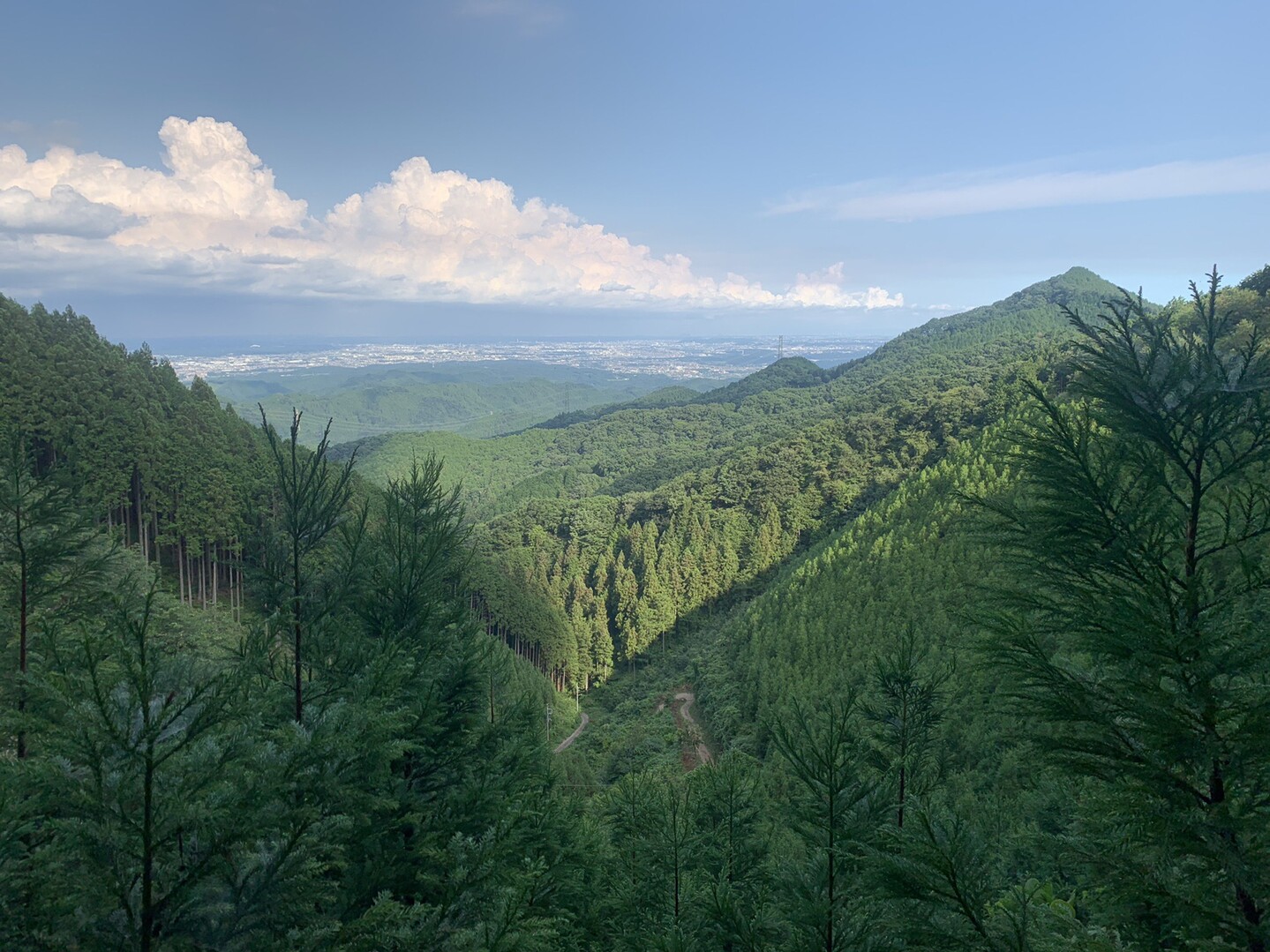 ハセツネcup 後半試走 都民の森 五日市会館 キタジさんのハセツネcup 日本山岳耐久レース 71 5kmコース の活動データ Yamap ヤマップ