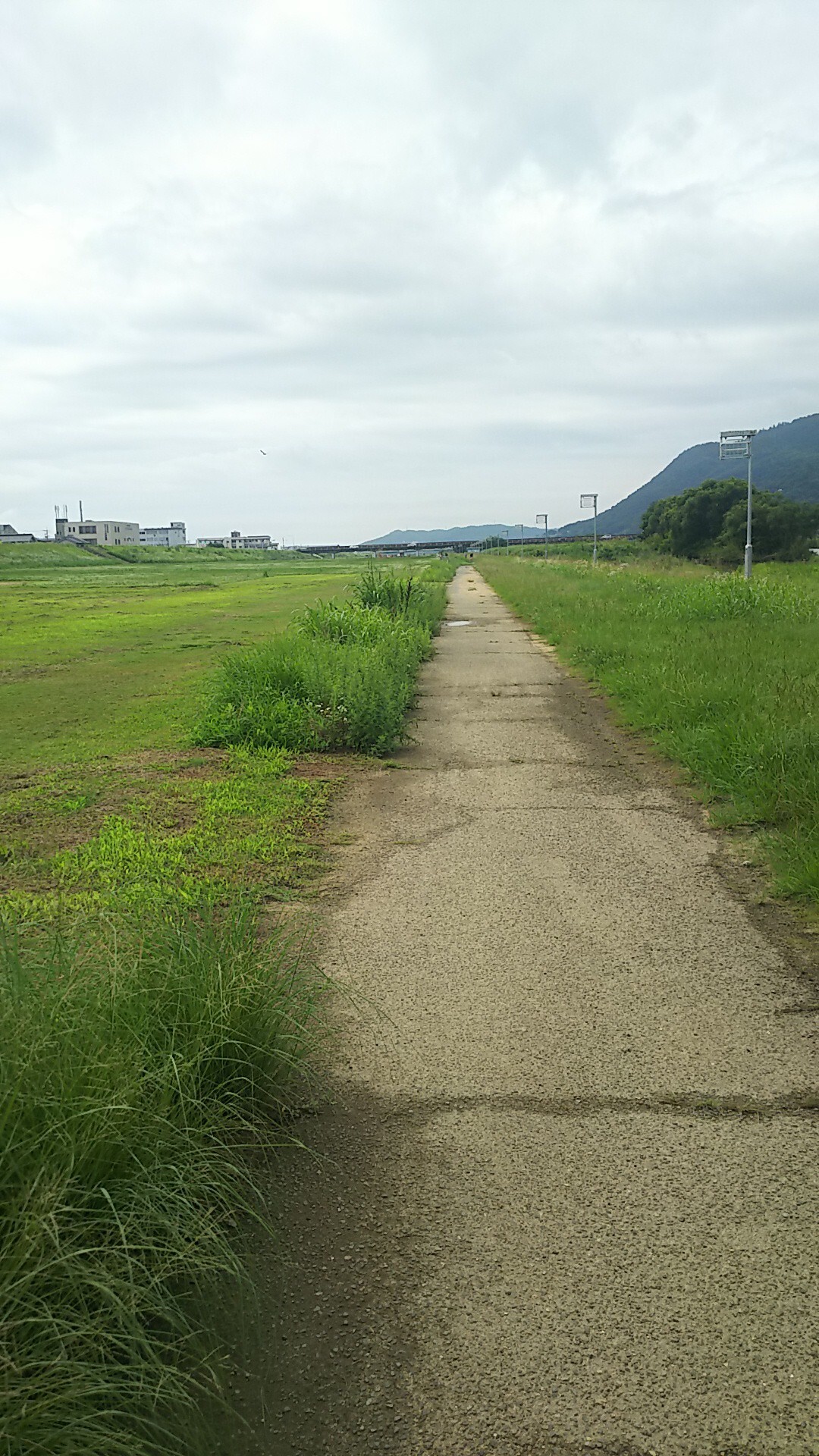国宝 明王院 と草戸稲荷神社 福山市の写真25枚目 帰りは土手沿いのロードを1 8キロほど歩 Yamap ヤマップ