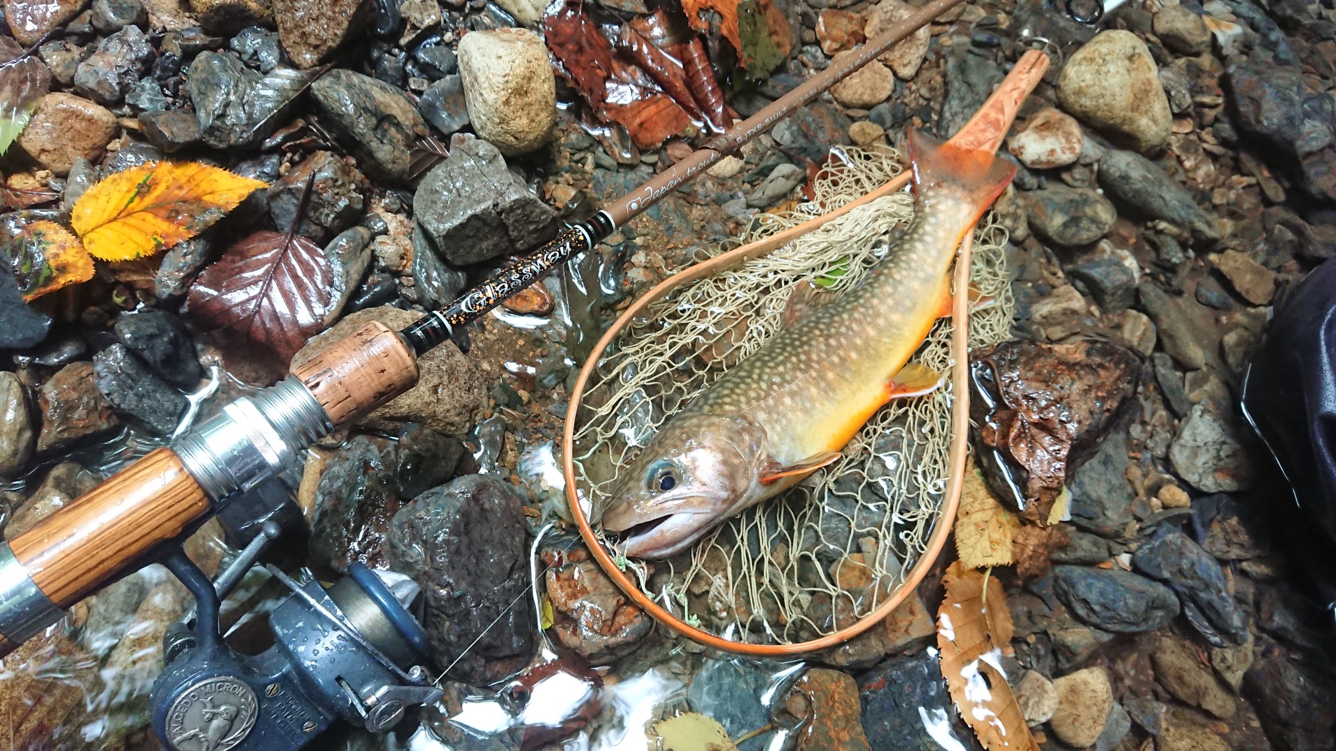 十方山沢登り 二ノ原谷 8 11 西中国山地渓流釣り 8 10 はやぶさ64さんの十方山の活動データ Yamap ヤマップ