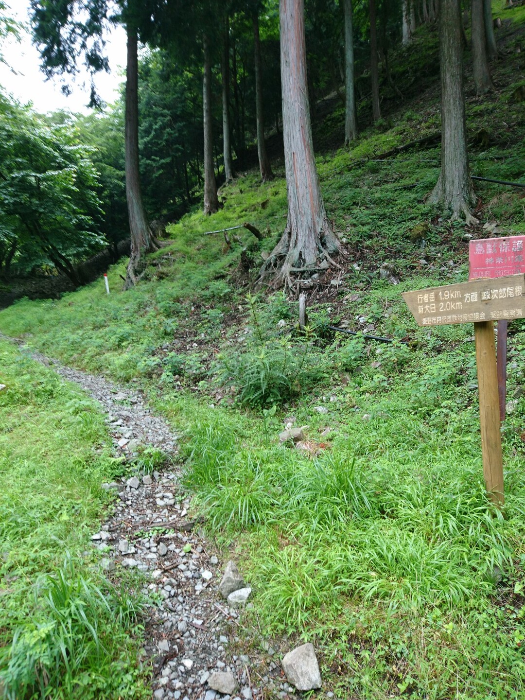 戸沢山荘から塔ノ岳周回 19 07 10 うっちゃんさんの丹沢山の活動日記 Yamap ヤマップ