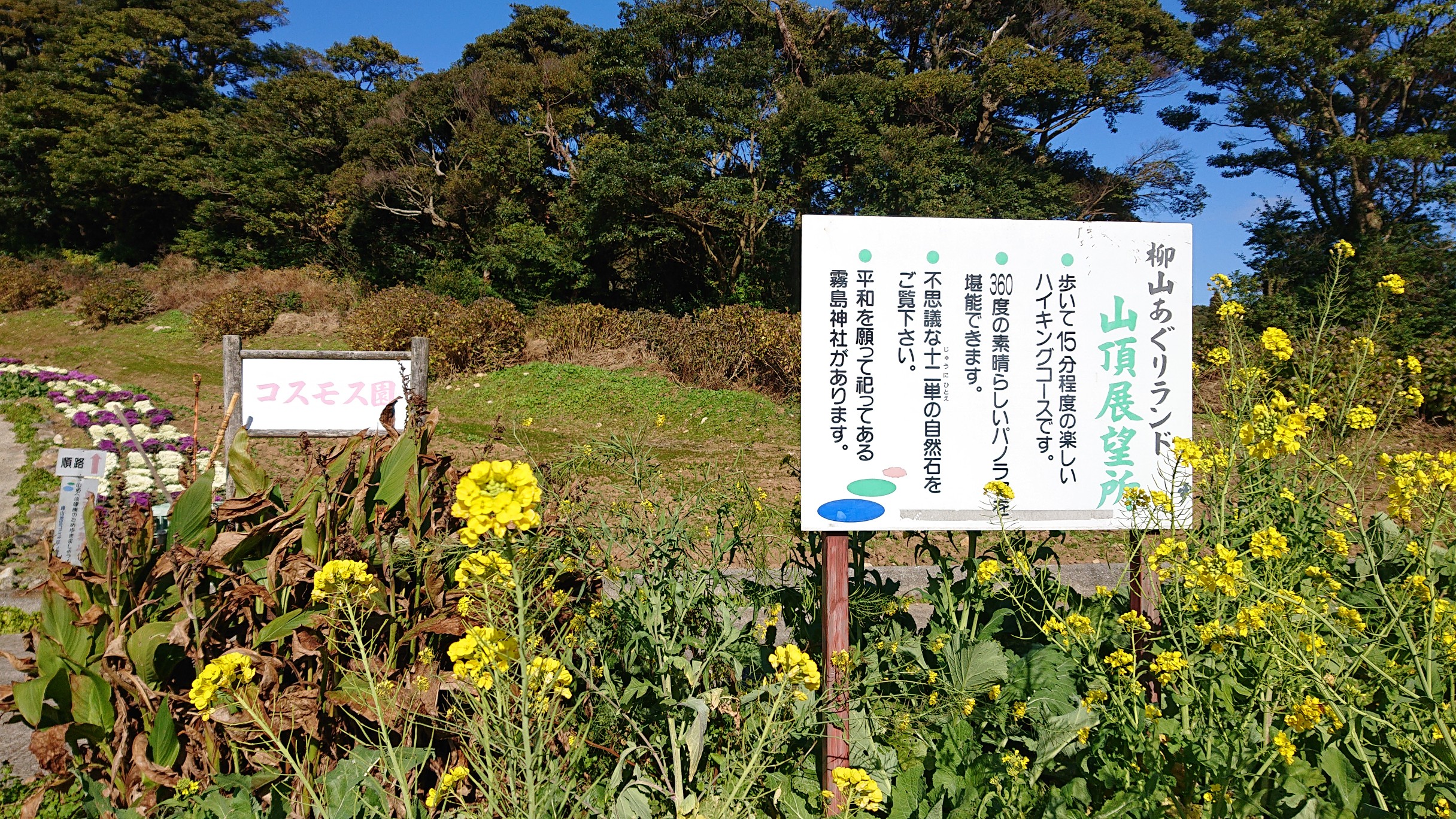柳山 薩摩川内市 01 11 ユキさんの薩摩川内市の活動日記 Yamap ヤマップ