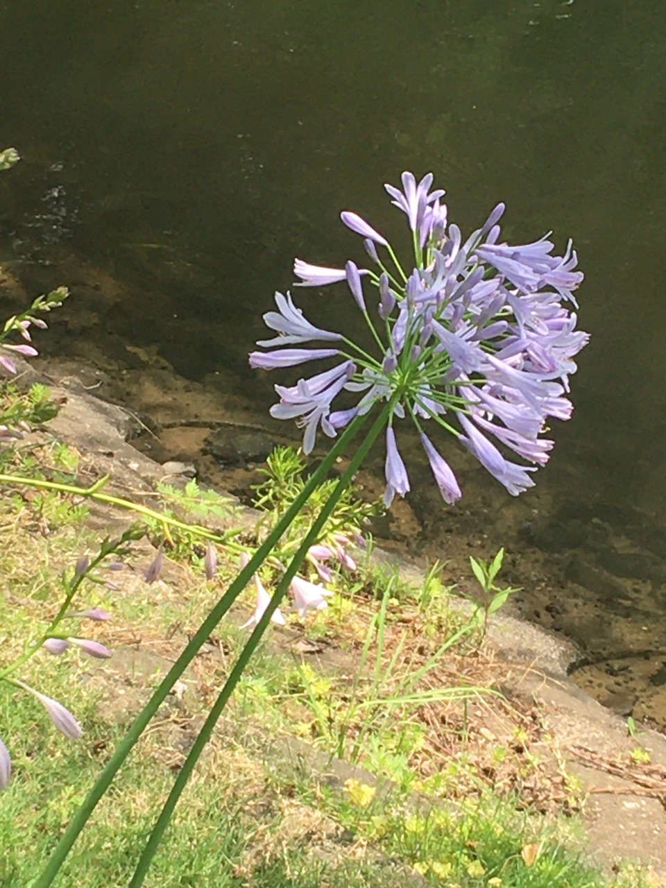 多布施川のルーツを目指して Masaさんの佐賀市の活動データ Yamap ヤマップ