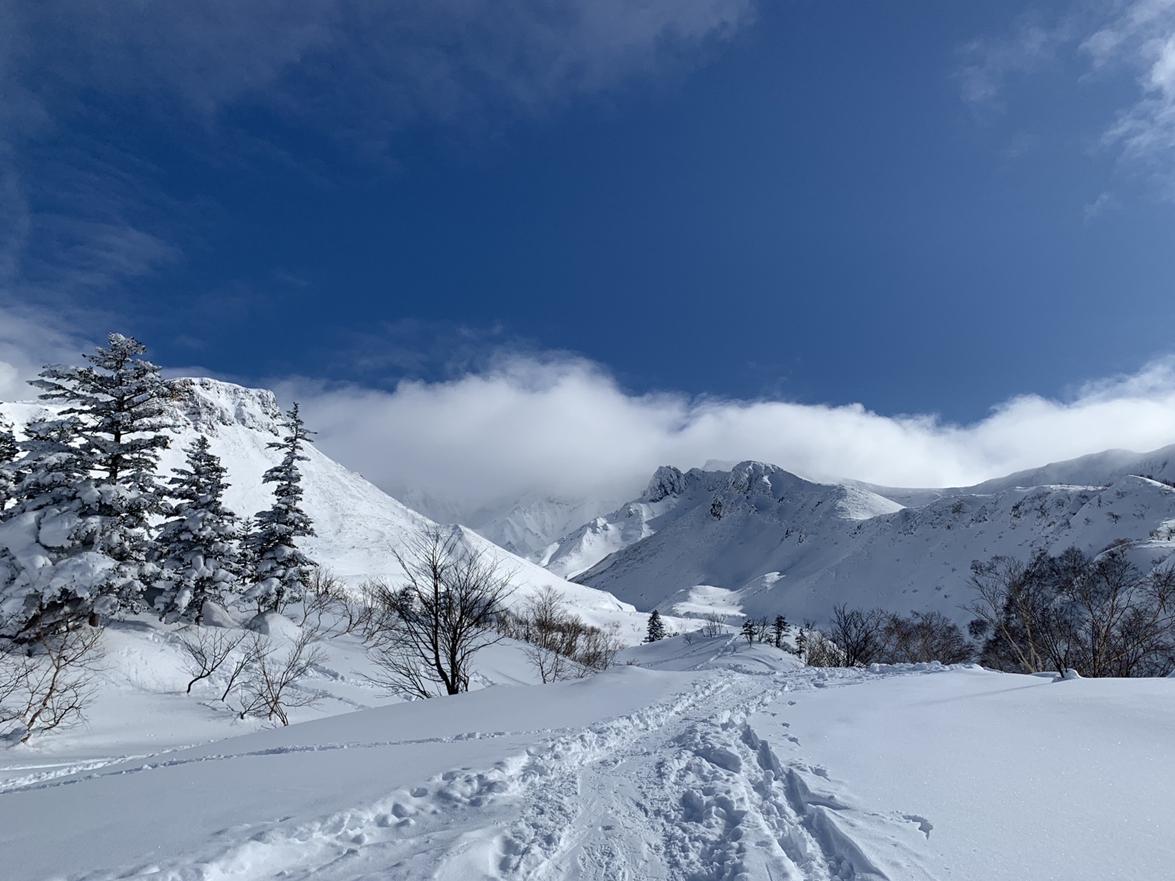 予定変更 安政火口へハイキング うめ さんの十勝岳 富良野岳 美瑛岳の活動データ Yamap ヤマップ