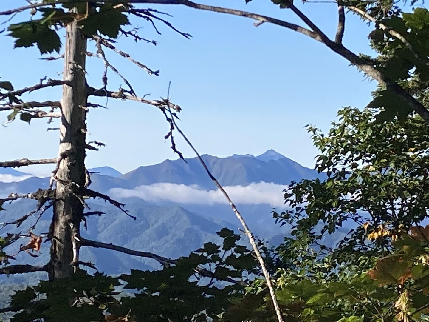 武華山・武利岳 / いっくんさんの武利岳・武華山の活動データ YAMAP / ヤマップ