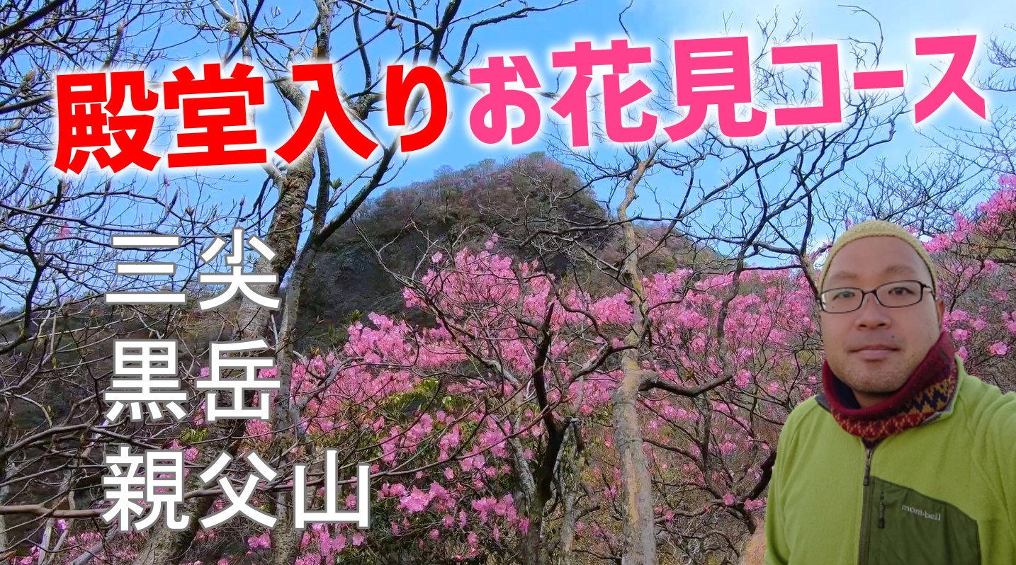 三尖 黒岳 親父山 障子岳の縦走でアケボノツツジとシャクナゲ やまちゃん さんの祖母山の活動データ Yamap ヤマップ