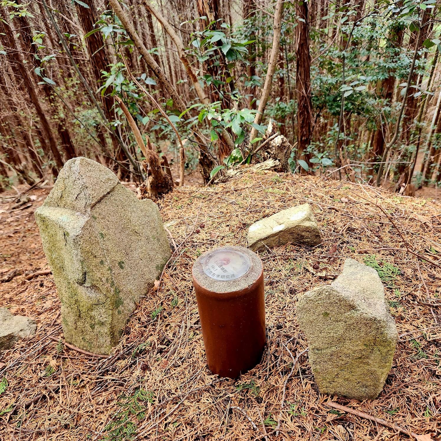 龍王山古墳群』奈良県史跡名勝天然記念物調査報告第68冊