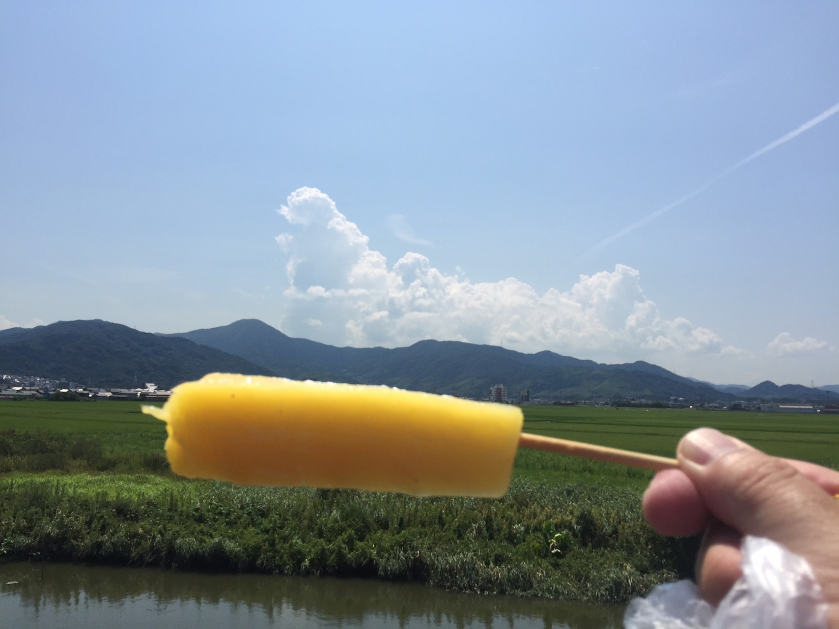 ヒロミgo あーちいちい Lsd Run ｎariさんの北九州市 小倉北区 戸畑区 八幡東区 の活動データ Yamap ヤマップ