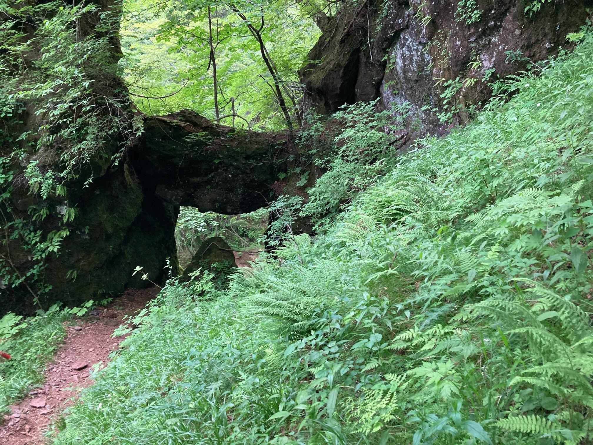 皇海山・袈裟丸山・庚申山 一の門まで戻ってきました
