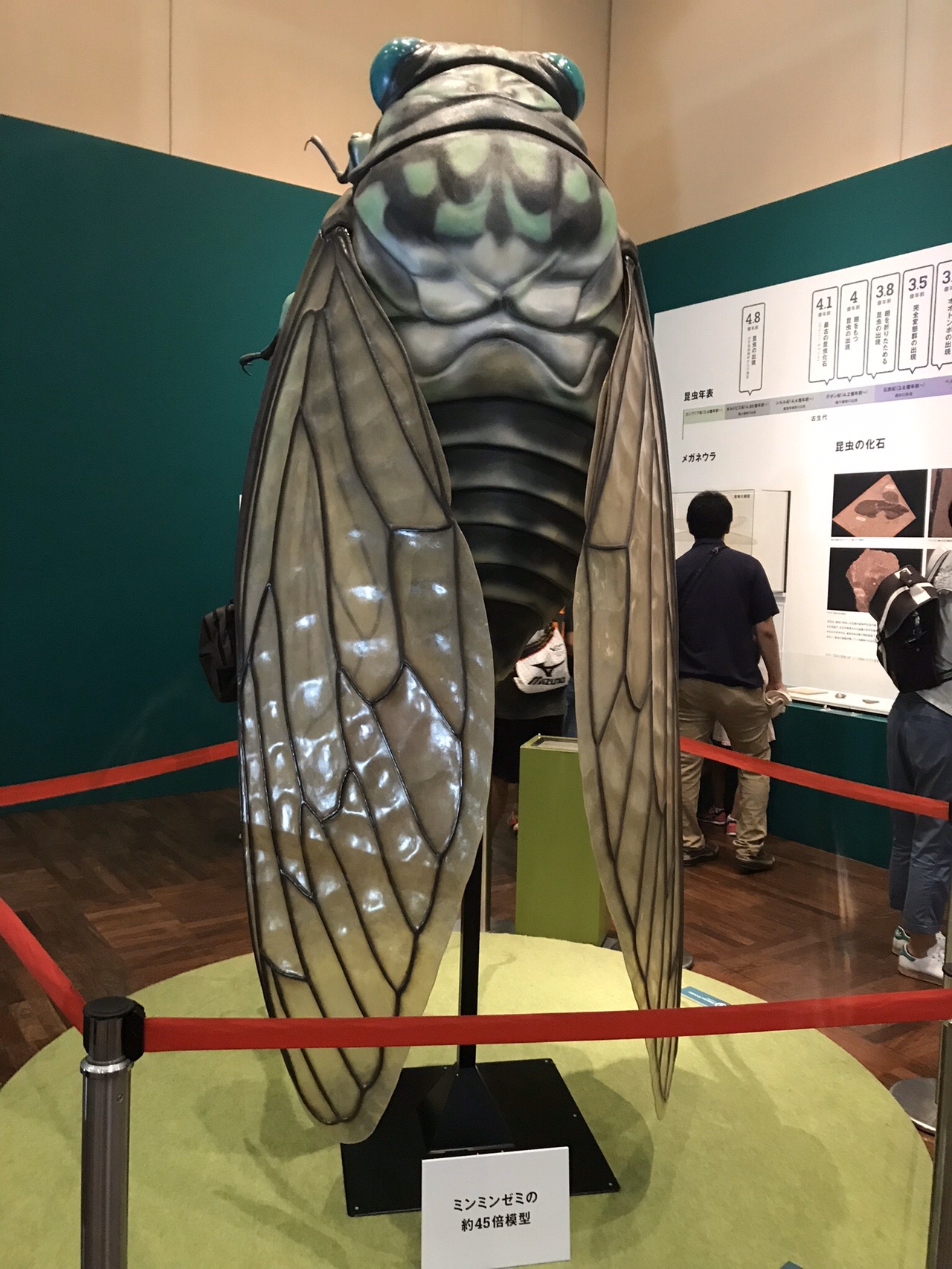 昆活しようぜ 昆虫展19 8 9 Ohikioyaさんの大阪市の活動日記 Yamap ヤマップ