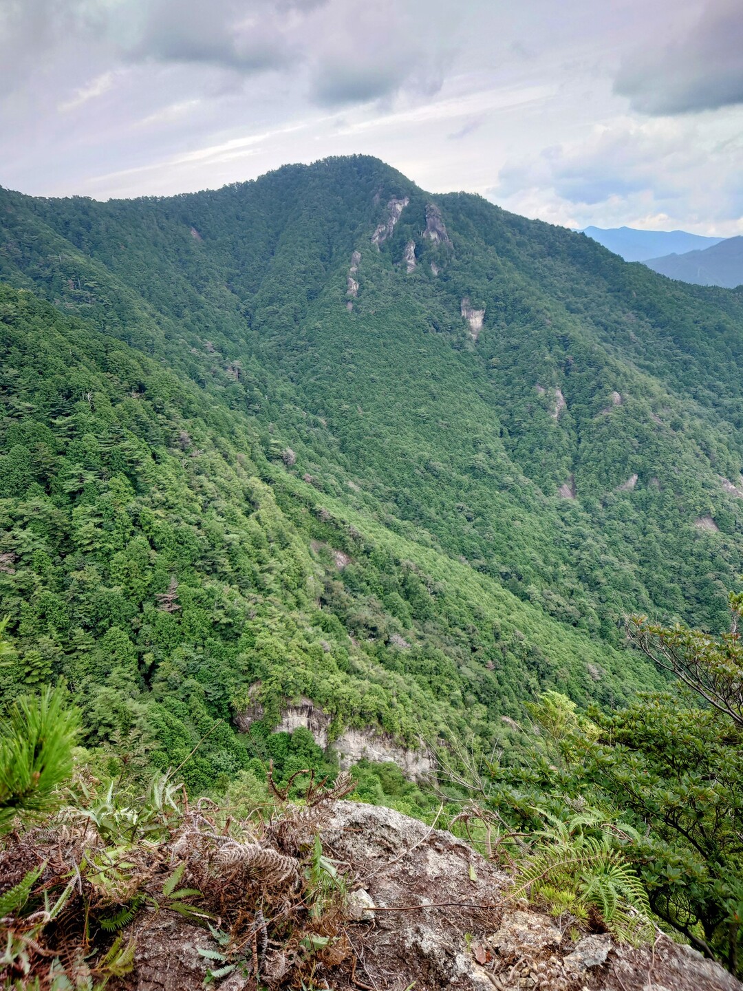 明神山(栃の木沢乳岩山東展望岩） / chukasanさんの明神山（三ツ瀬明神山）の活動データ YAMAP / ヤマップ