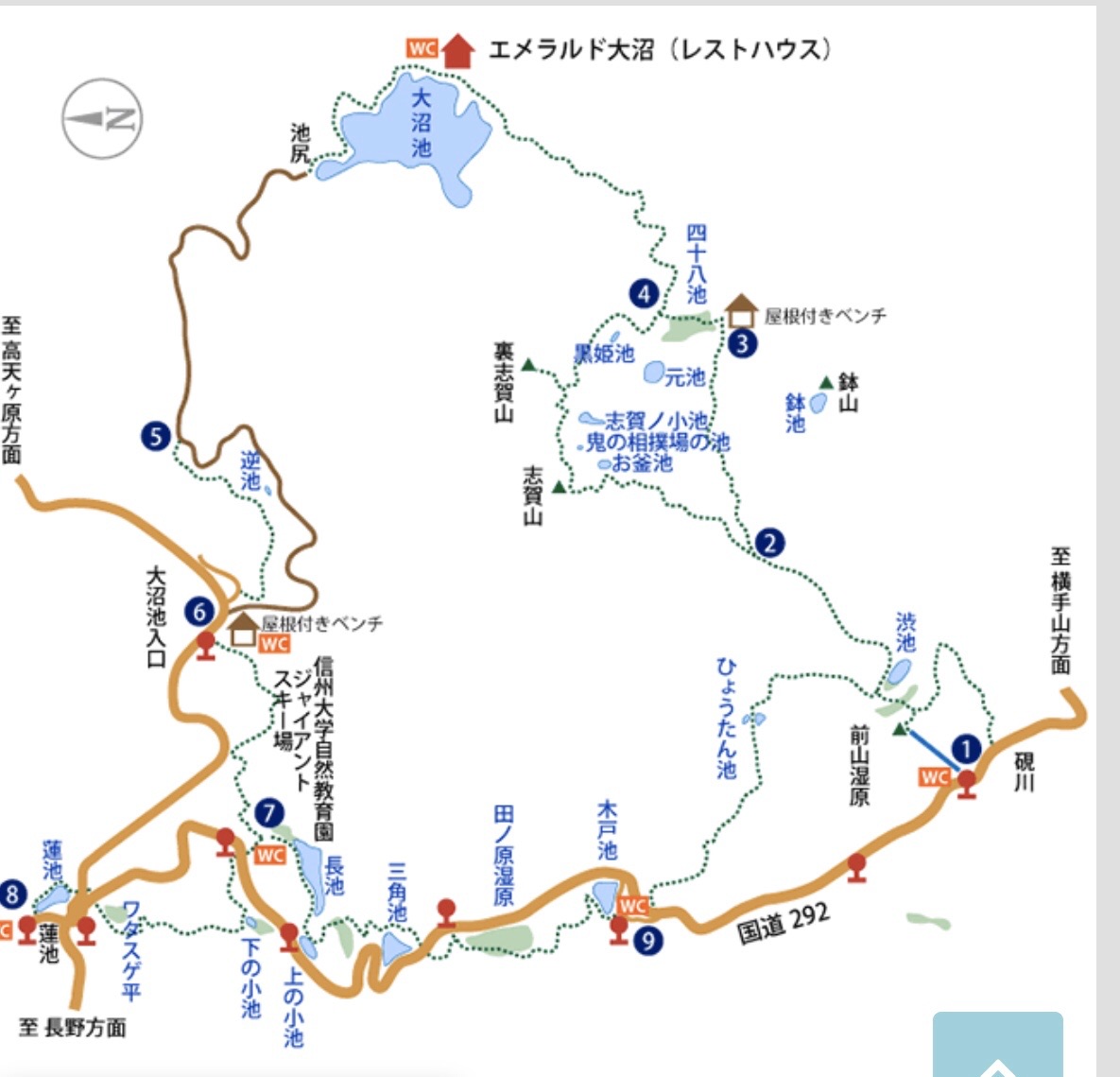 可愛すぎるワタスゲがいっぱいの志賀高原 池めぐりコース 06 21 スナフキンママさんの岩菅山 寺小屋峰の活動日記 Yamap ヤマップ