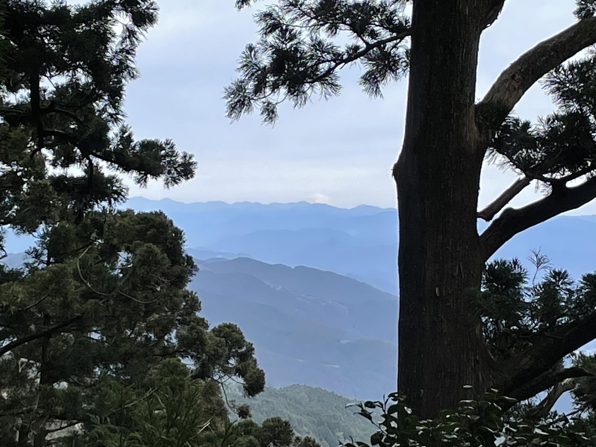 本宮山 / konさんの本宮山・大日山・風頭山の活動データ YAMAP / ヤマップ
