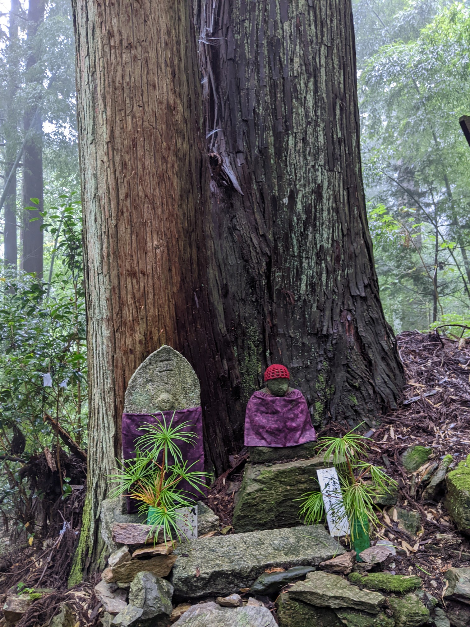 横峰寺 / yu−yuさんの四国遍路その17の活動データ YAMAP / ヤマップ