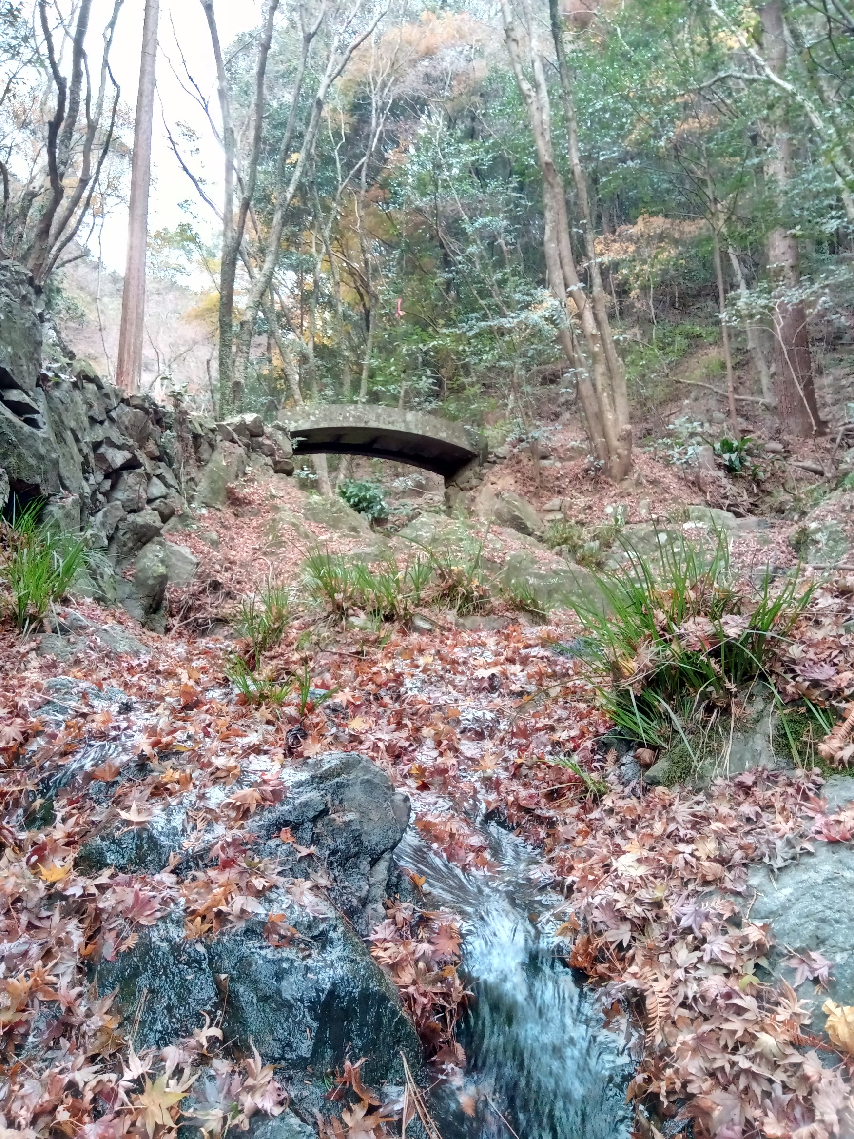 白馬渓 水ヶ城山 臼杵川ウォーキングコース たかたか と 日産リーフ号 さんの鎮南山の活動データ Yamap ヤマップ