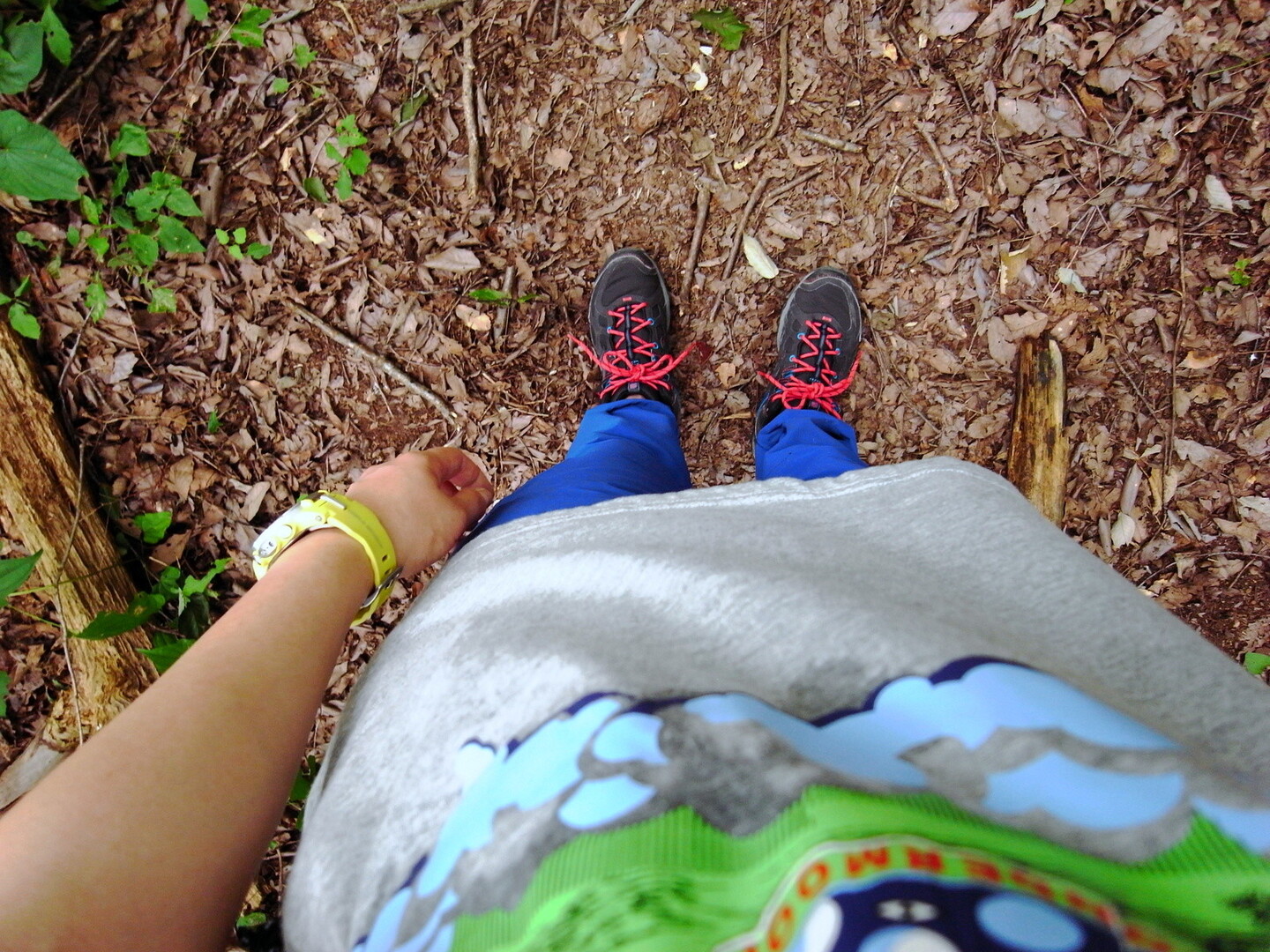 湯村山～武田の杜：夕方裏山さんぽ / あいさんの甲府市の活動データ YAMAP / ヤマップ