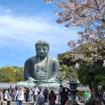 桜🌸と鎌倉大仏。
外国人観光客が多かった。