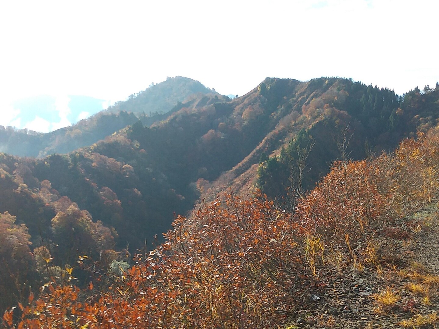 高坪山 / kisaragiさんの高清水山・高落場山・八乙女山の活動データ | YAMAP / ヤマップ