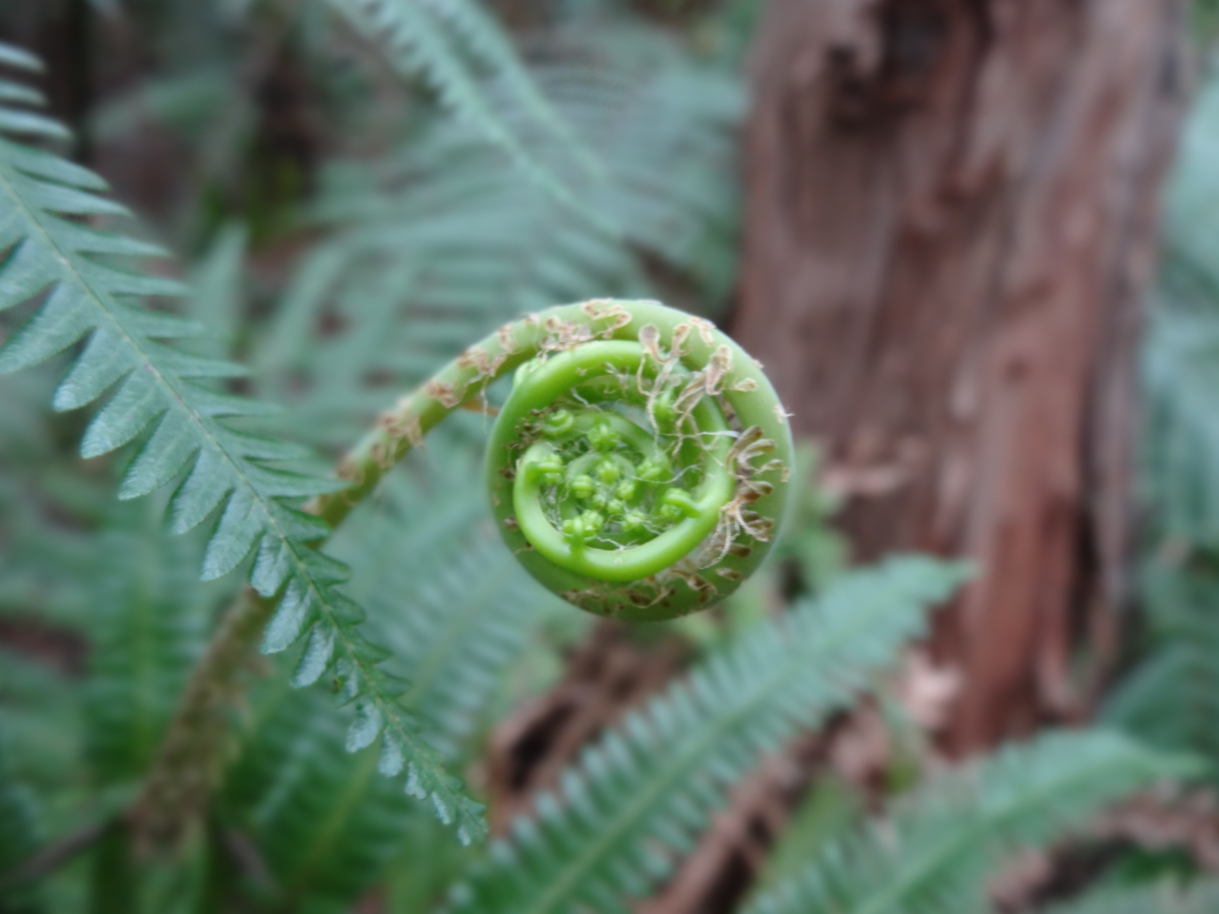 大谷山 弥勒山 ムラカミ ケンさんの春日井三山 弥勒山 大谷山 道樹山の活動日記 Yamap ヤマップ