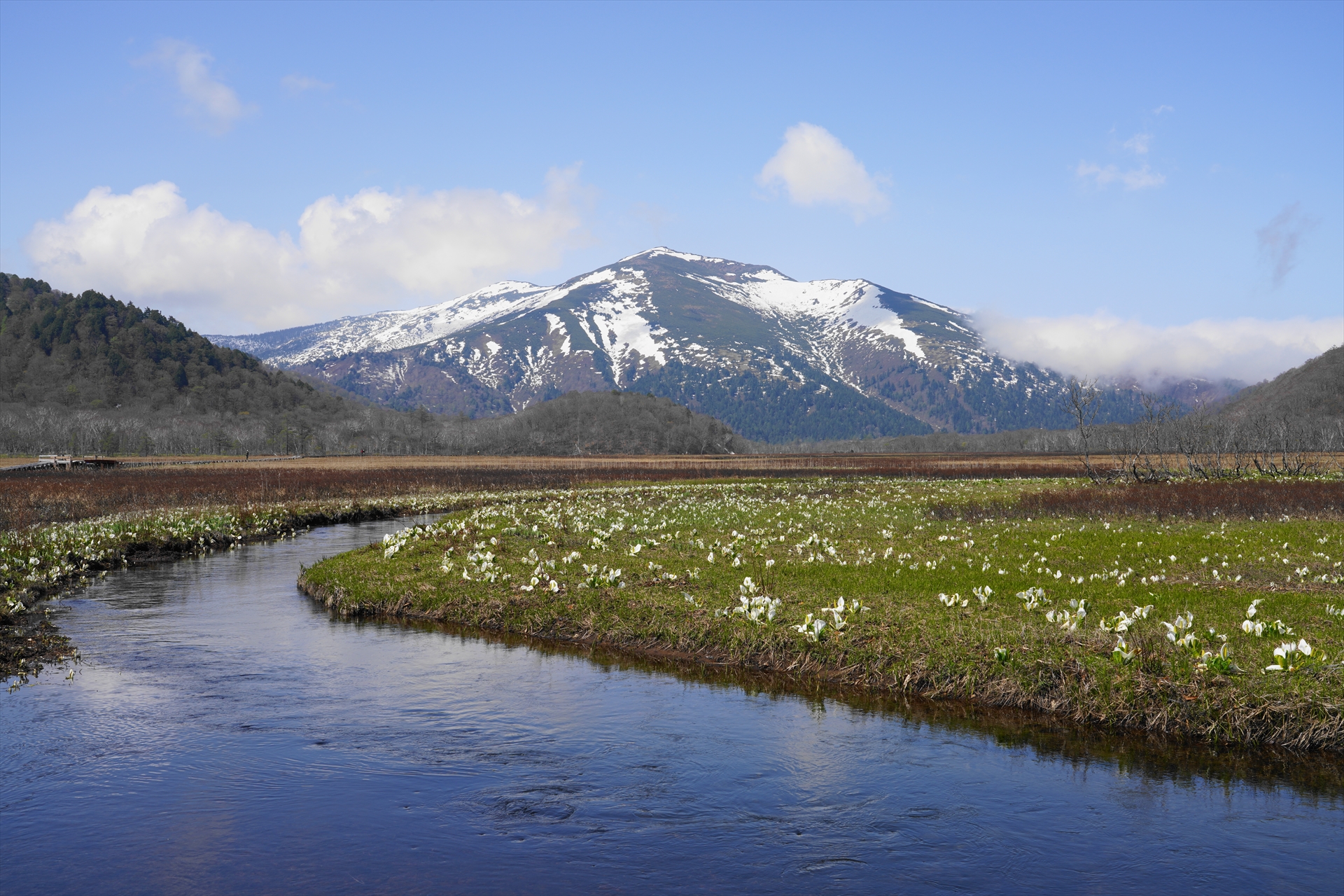 ミズバショウ咲く尾瀬ヶ原 05 24 トレッキングさんの尾瀬 燧ヶ岳の活動データ Yamap ヤマップ