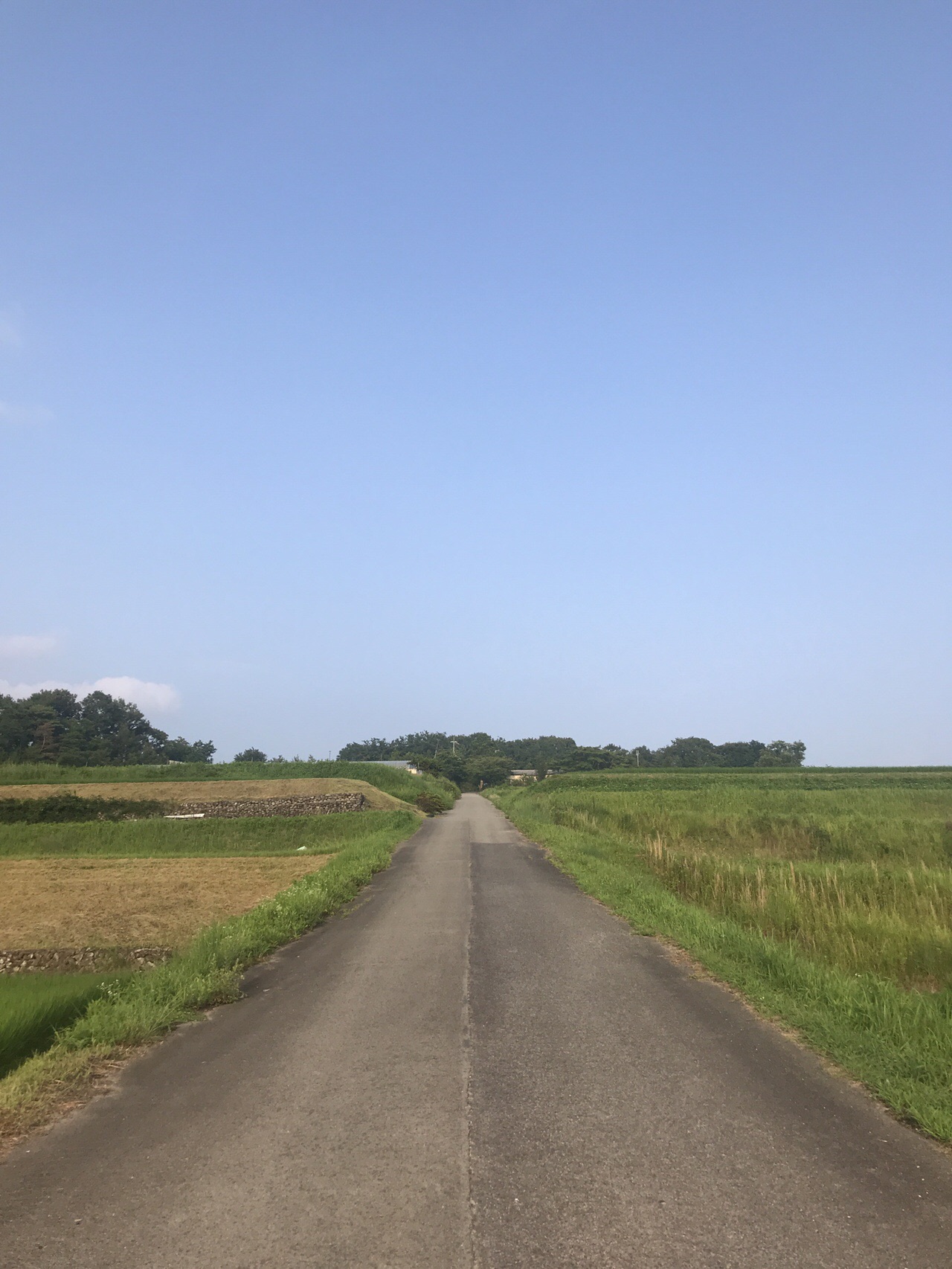 番外編 神戸三田プレミアムアウトレット周辺ランニング 19 07 28 たかまるさんの六甲山 長峰山 摩耶山の活動データ Yamap ヤマップ