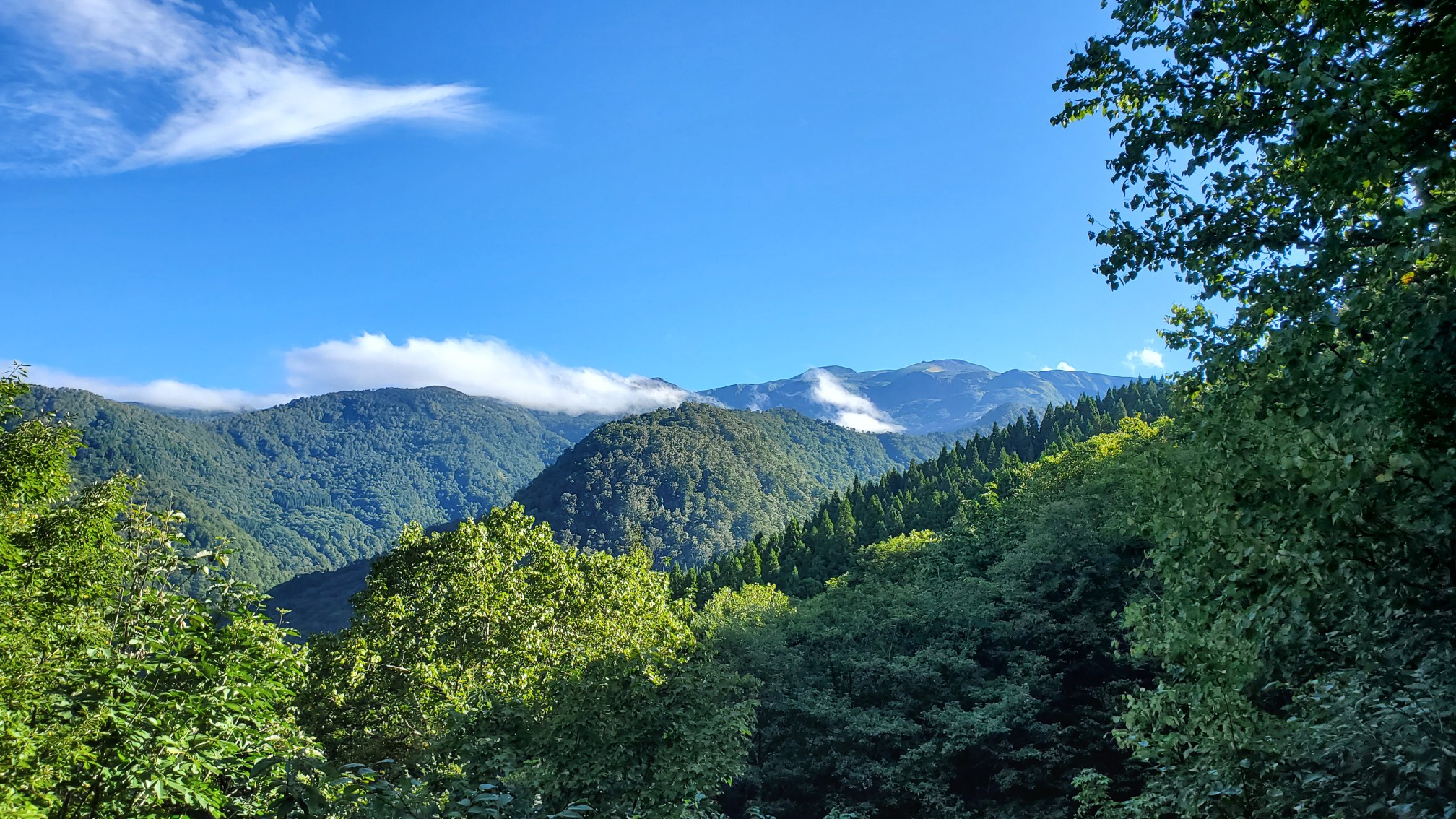 白山展望台 市ノ瀬 09 12 イカロスのつばささんの白山 別山 銚子ヶ峰の活動データ Yamap ヤマップ